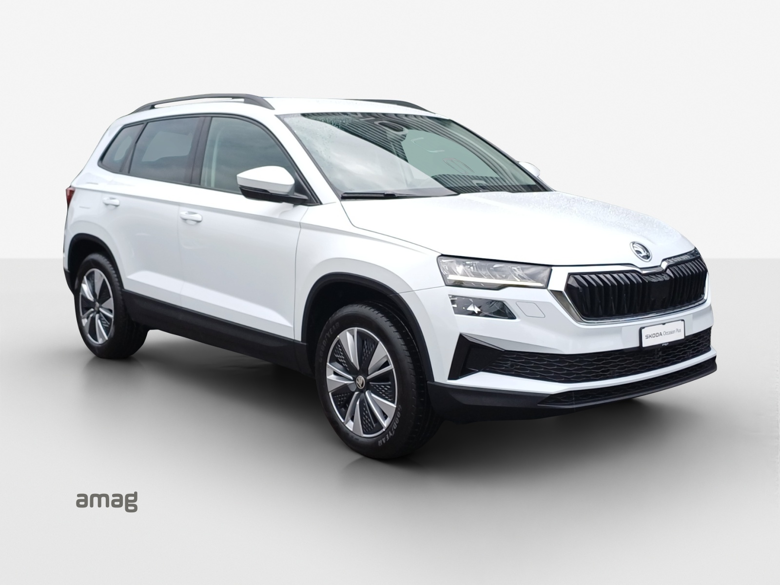 SKODA Karoq 2.0 TDI CR Ambition 4x4 DSG-image-5