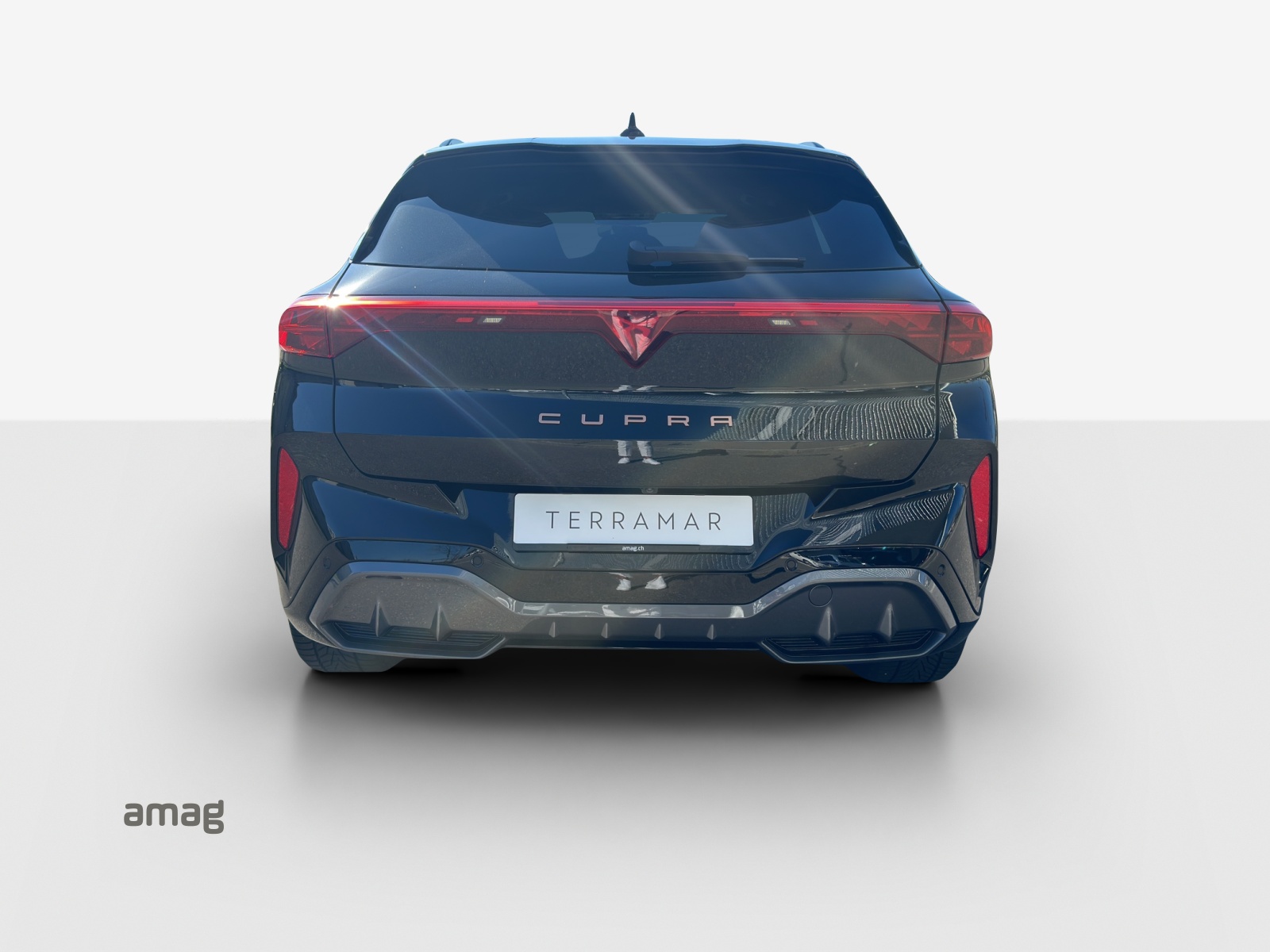 CUPRA Terramar 2.0 TSI DSG 4Drive VZ-image-3