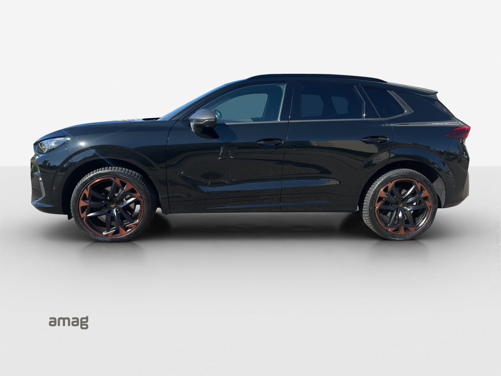 CUPRA Terramar 2.0 TSI DSG 4Drive VZ-image-1