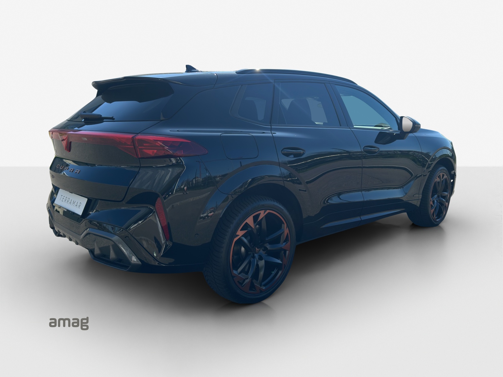 CUPRA Terramar 2.0 TSI DSG 4Drive VZ-image-4
