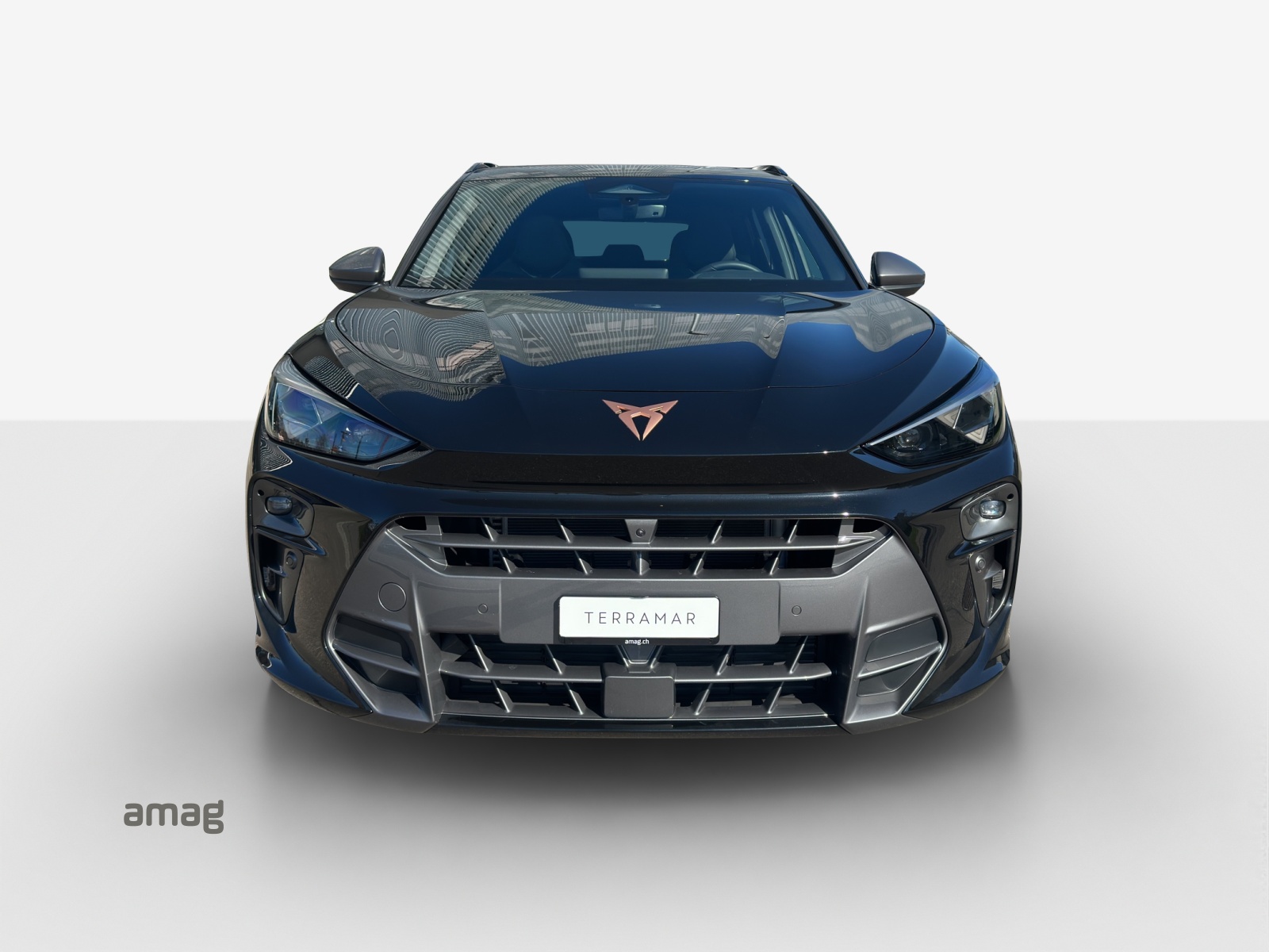 CUPRA Terramar 2.0 TSI DSG 4Drive VZ-image-6