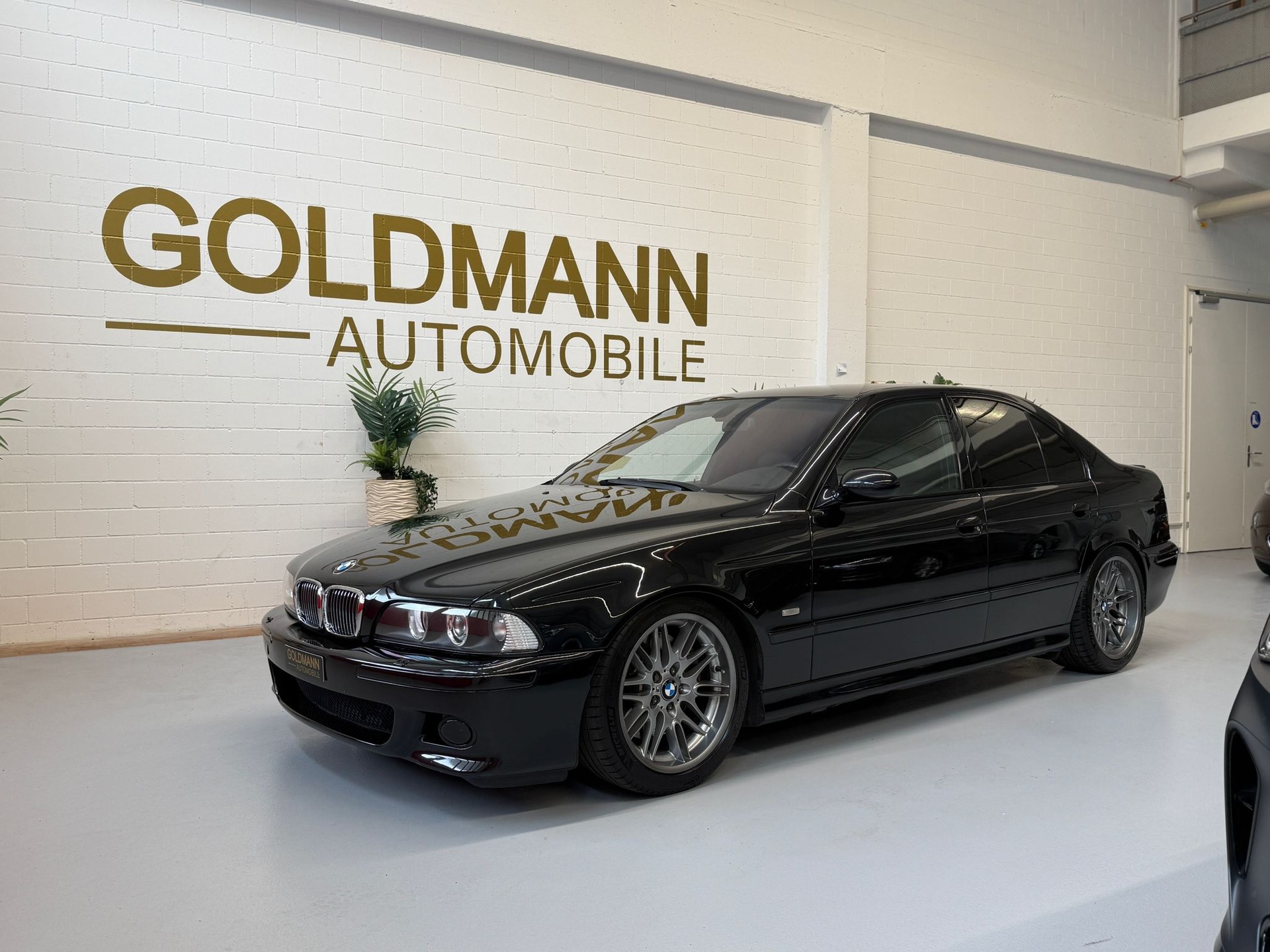 BMW M5