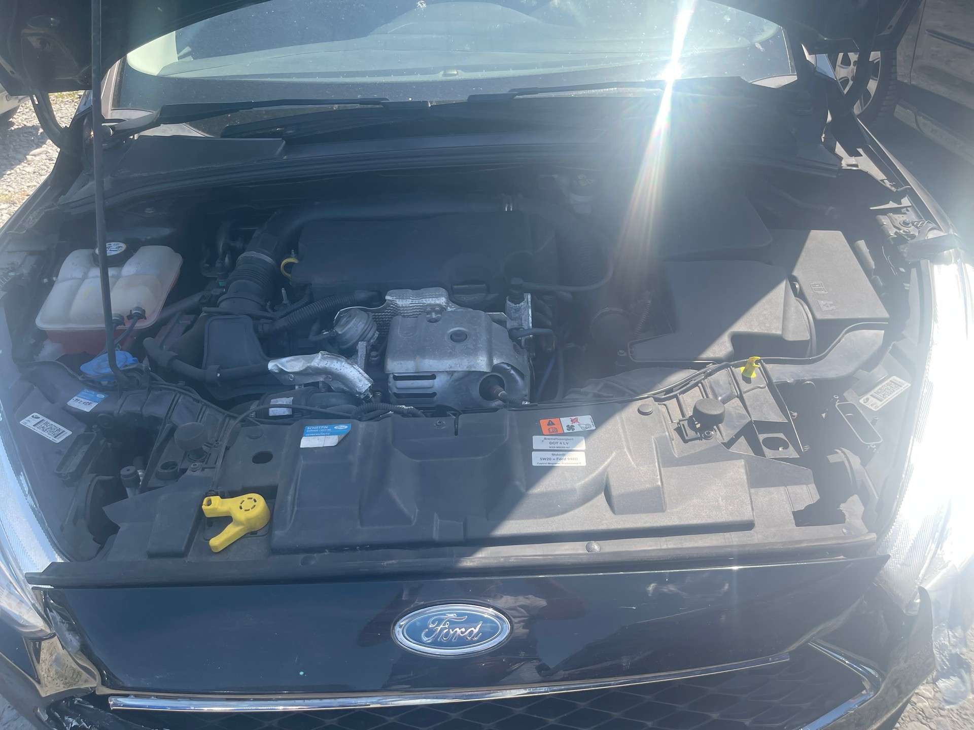 FORD Focus 1.0 SCTi Trend-image-6