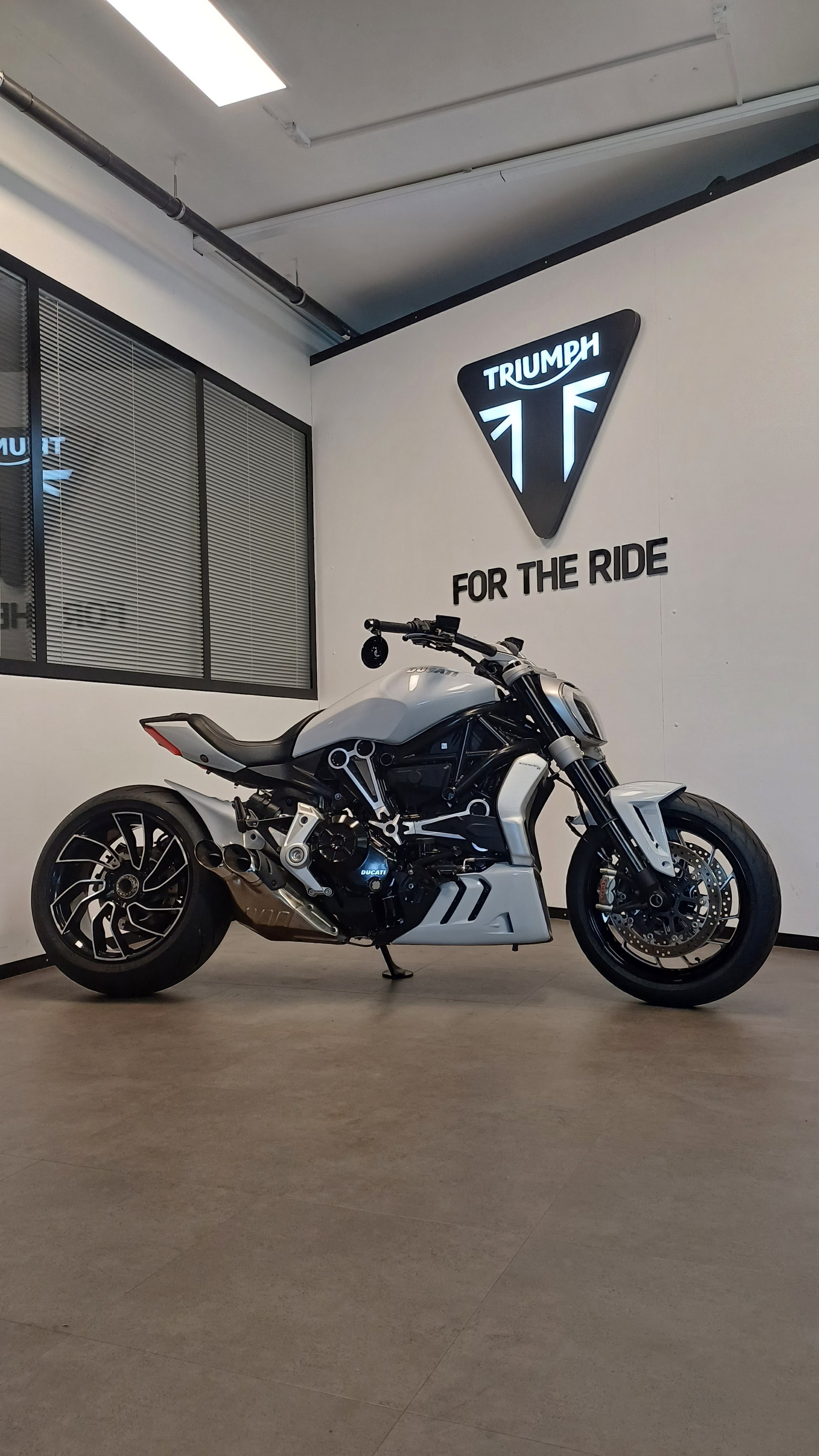 DUCATI XDiavel 1260 S-image-2