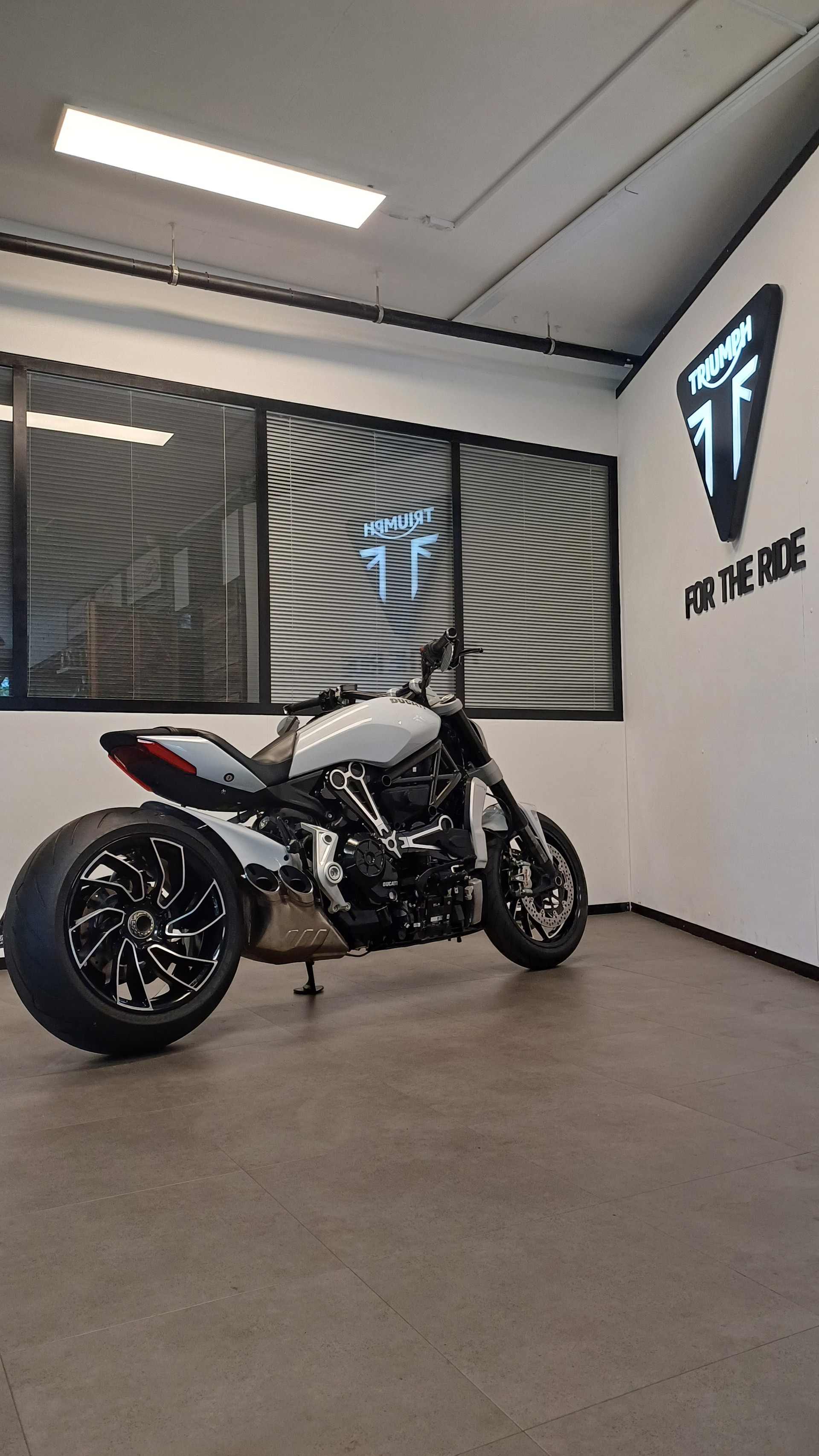 DUCATI XDiavel 1260 S-image-5