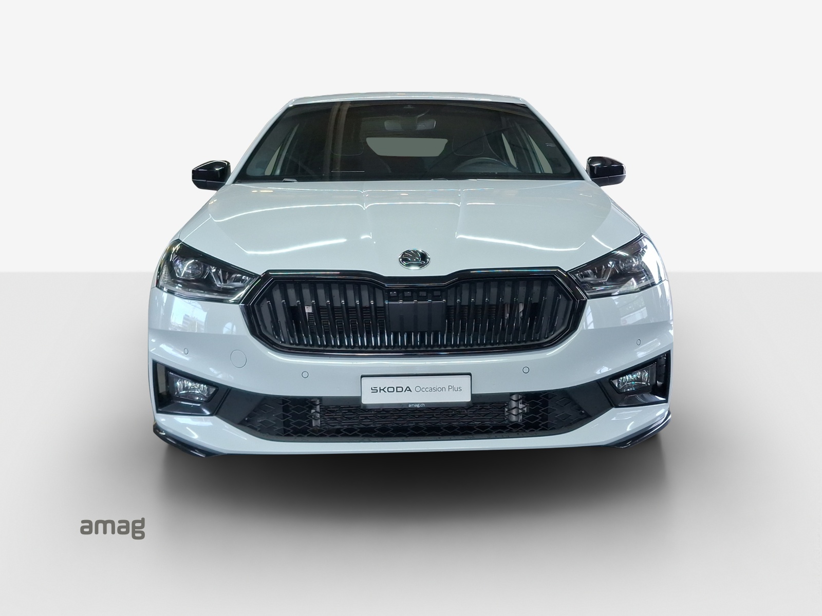 SKODA Fabia 1.5 TSI Monte Carlo DSG-image-6