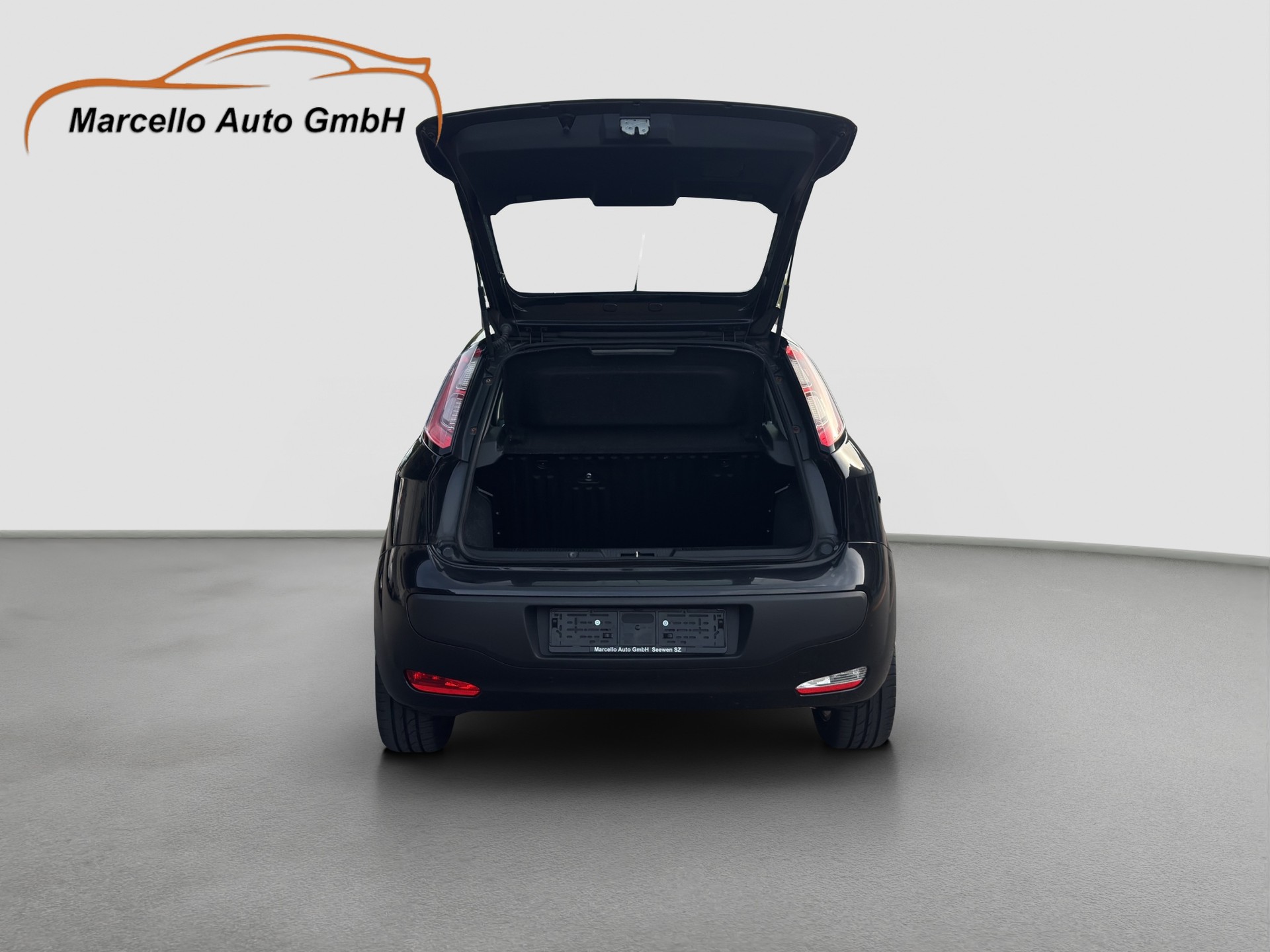 FIAT Punto Evo 1.4 MyLife-image-9