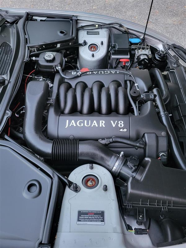 JAGUAR 4.0-image-9