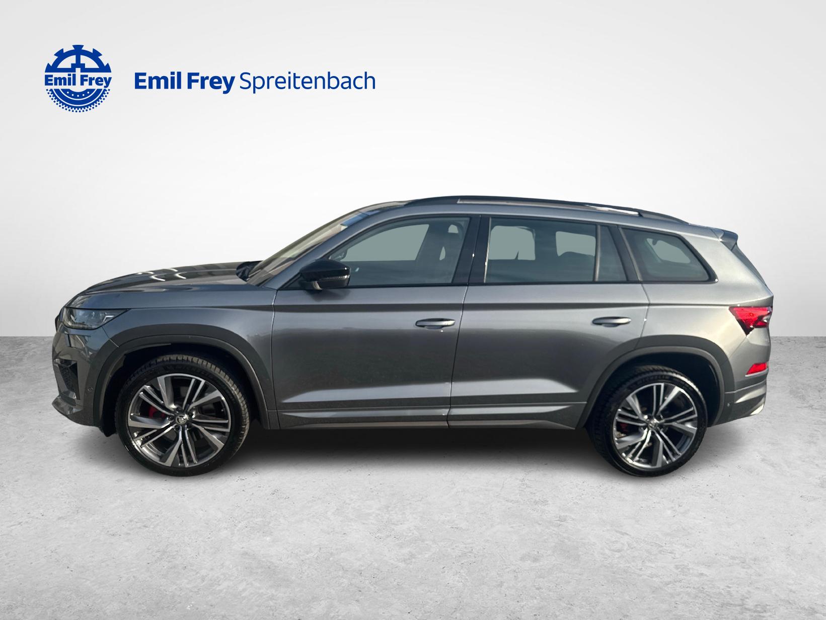 SKODA Kodiaq 2.0 TSI RS DSG-showroom-element-1