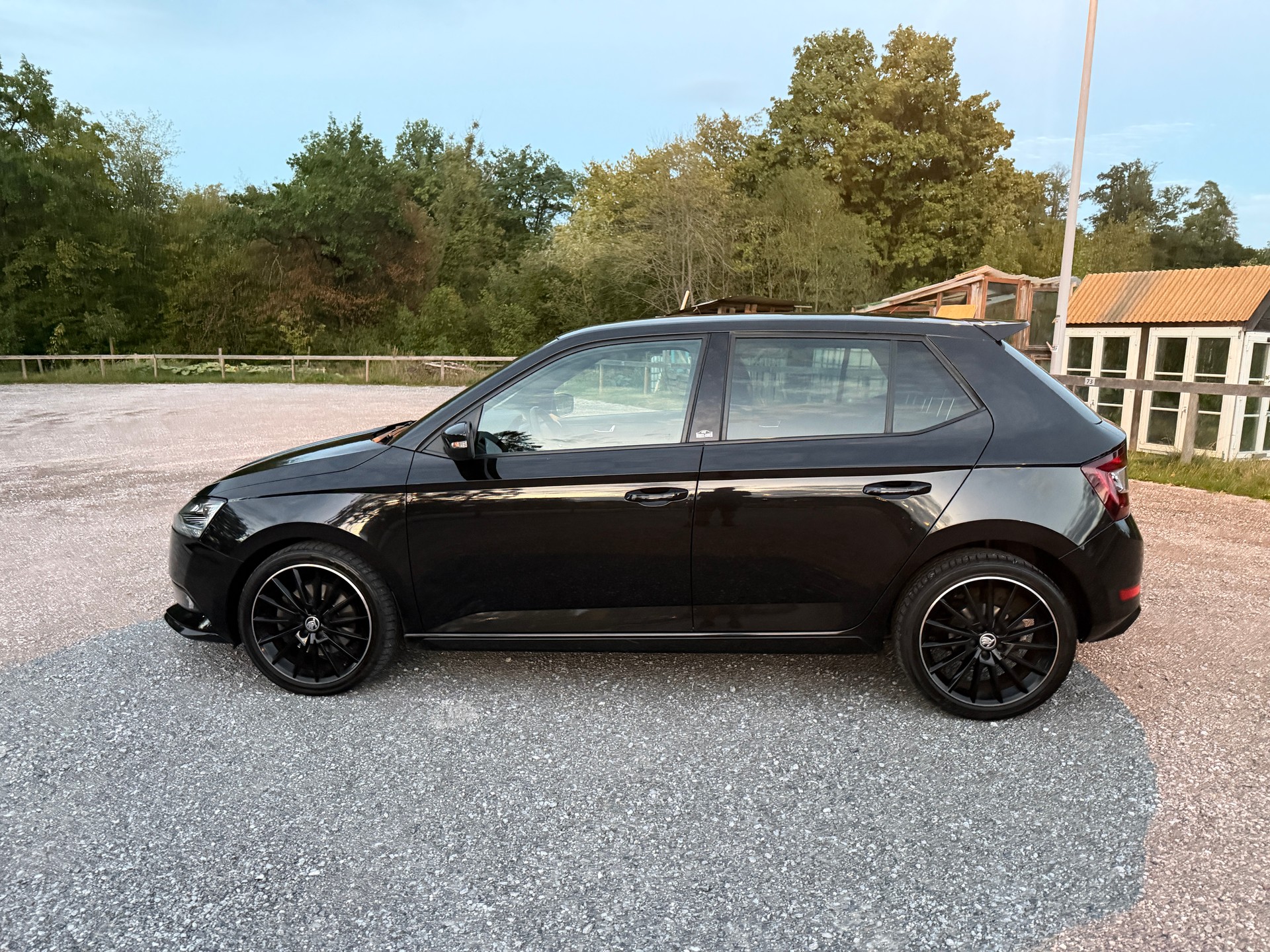 SKODA 1.0 TSI Monte Carlo DSG-image-5