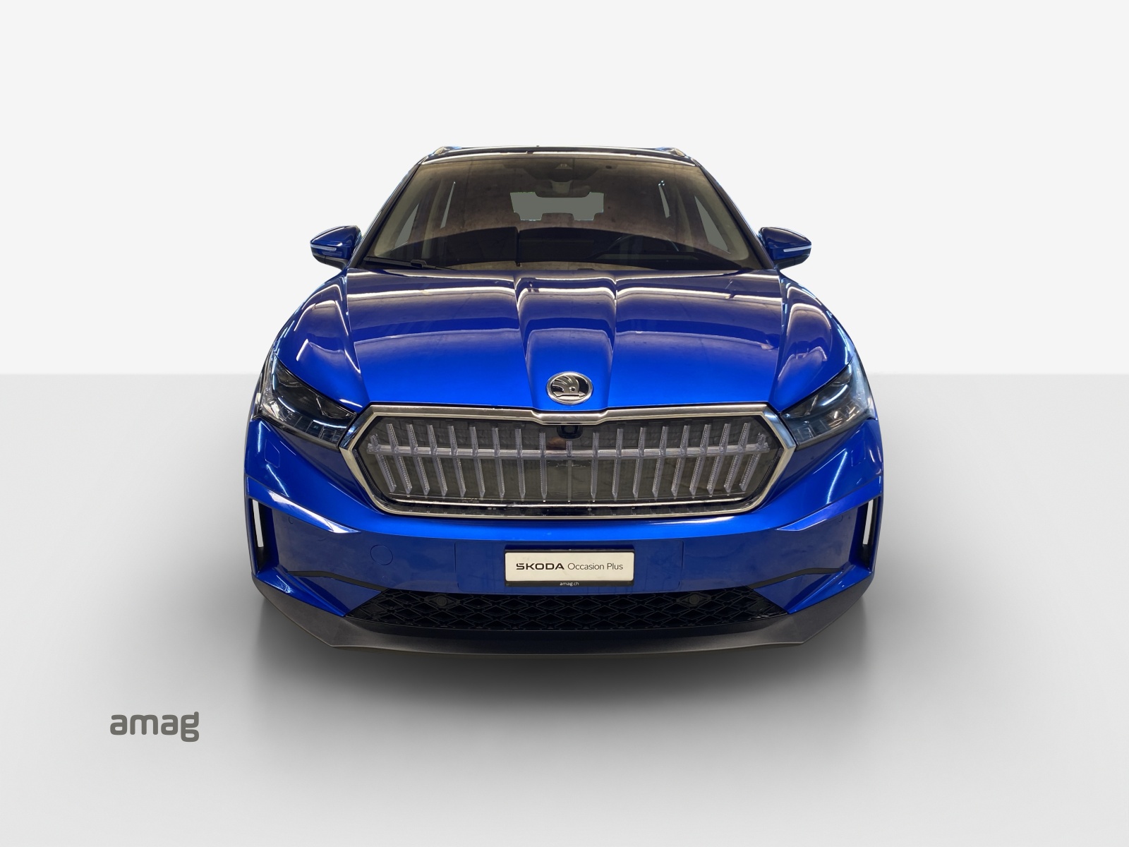 SKODA Enyaq iV 80x-image-6