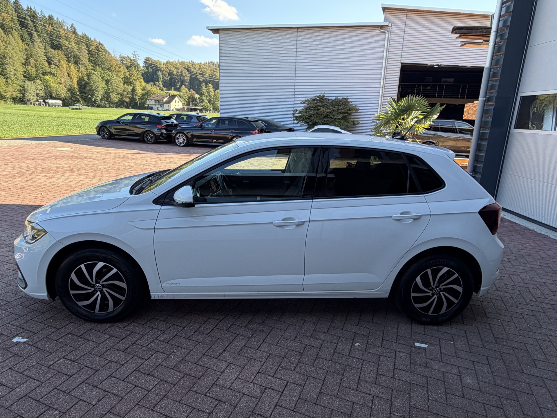 VW Polo 1.0 TSI Life DSG-image-6