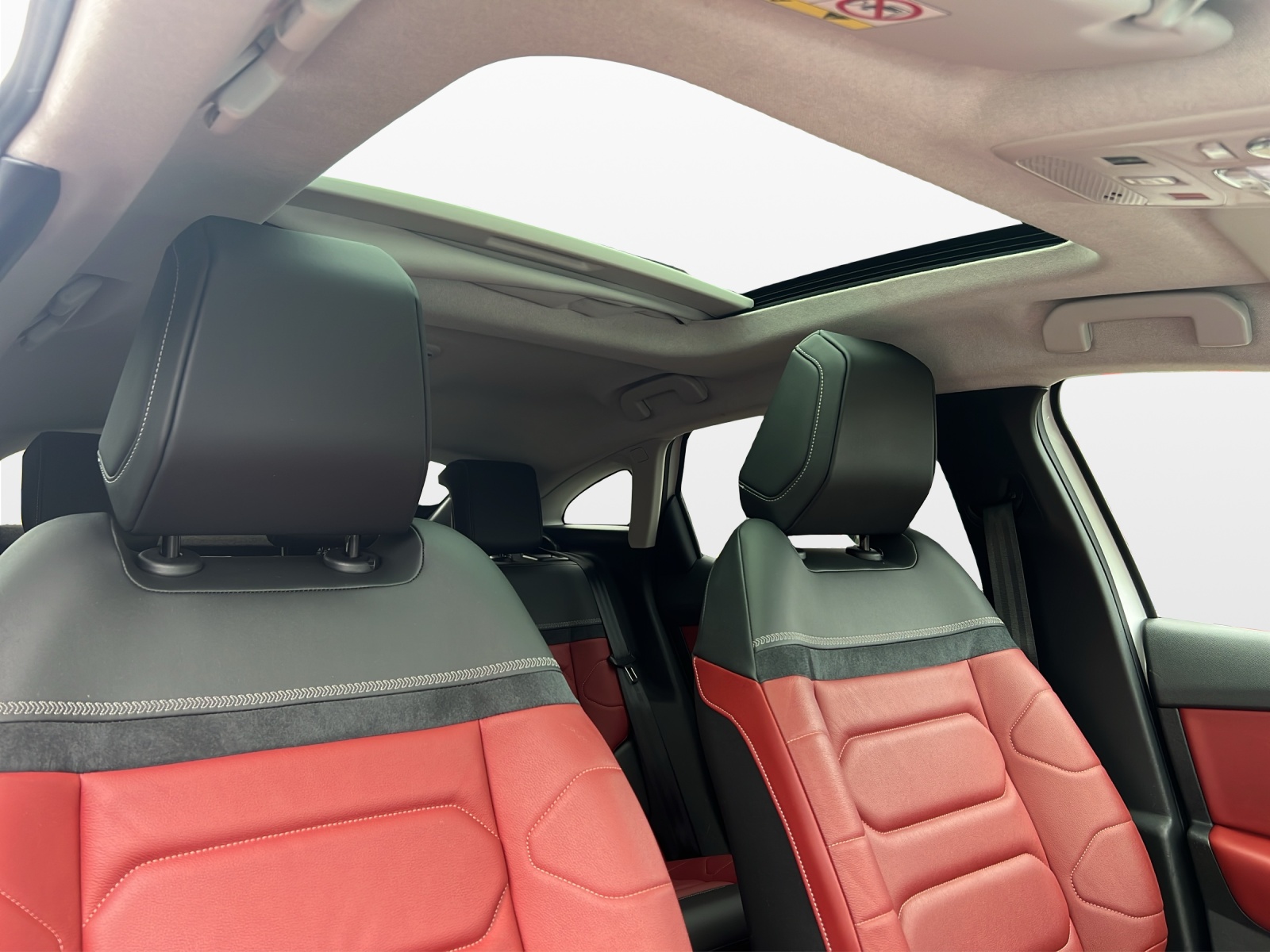 CITROEN C4 1.2 Pure Tech Shine EAT8-image-15