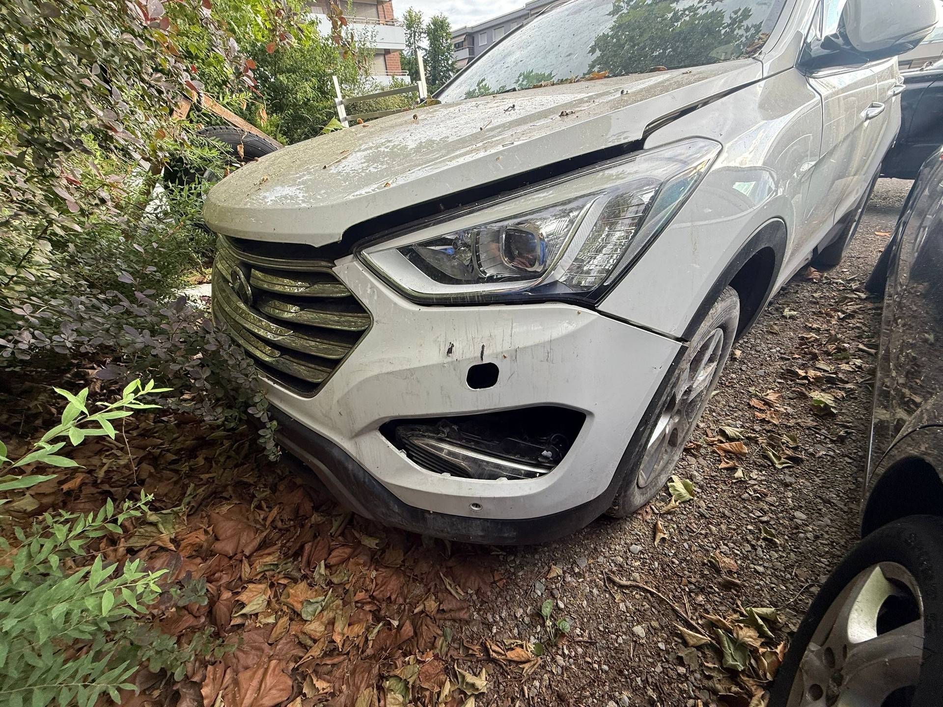 HYUNDAI 2.2 CRDi Vertex 7P-image-0