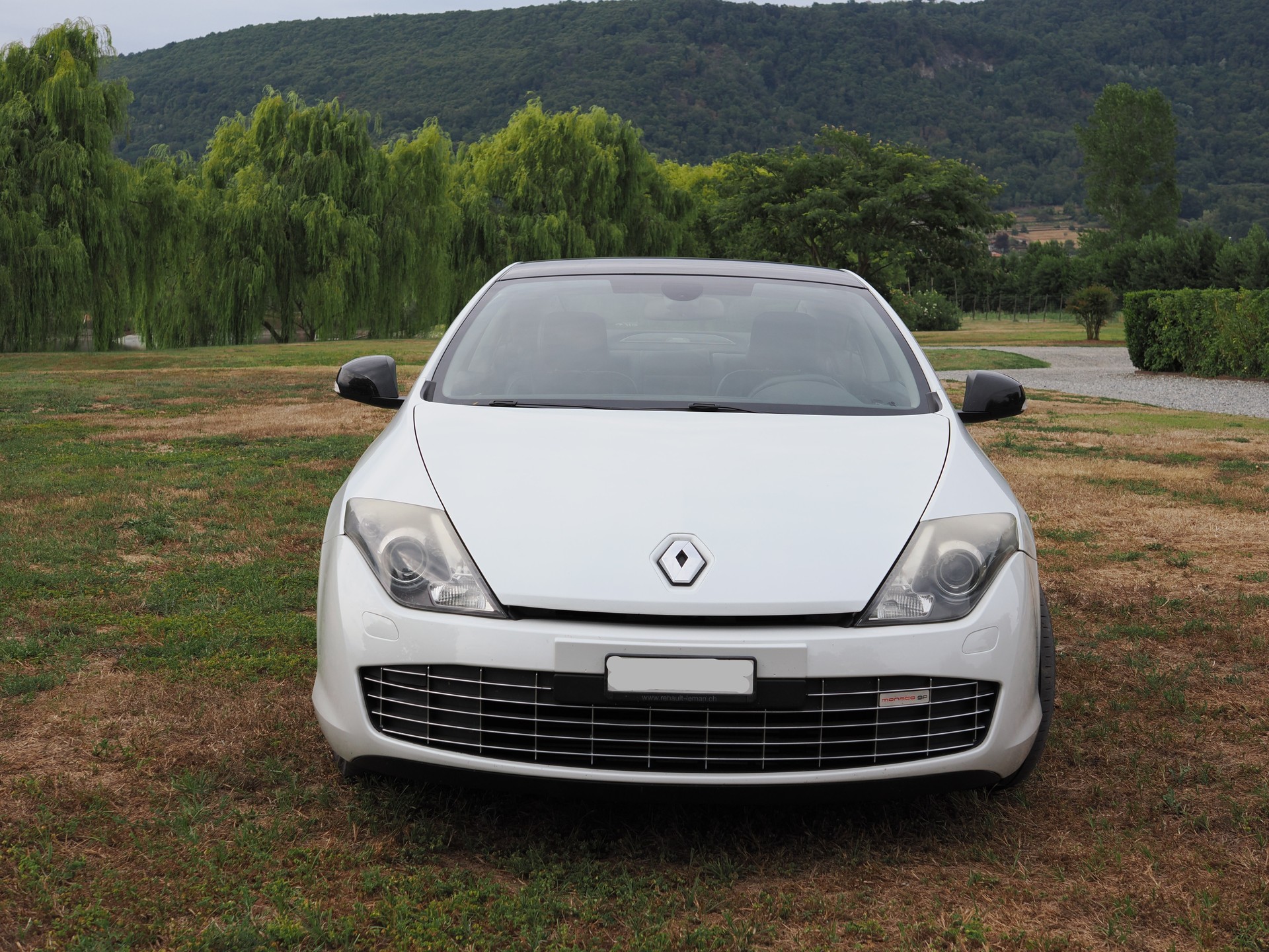 RENAULT Coupé 2.0 dCi 175 Monaco GP 4Control BVA-image-4