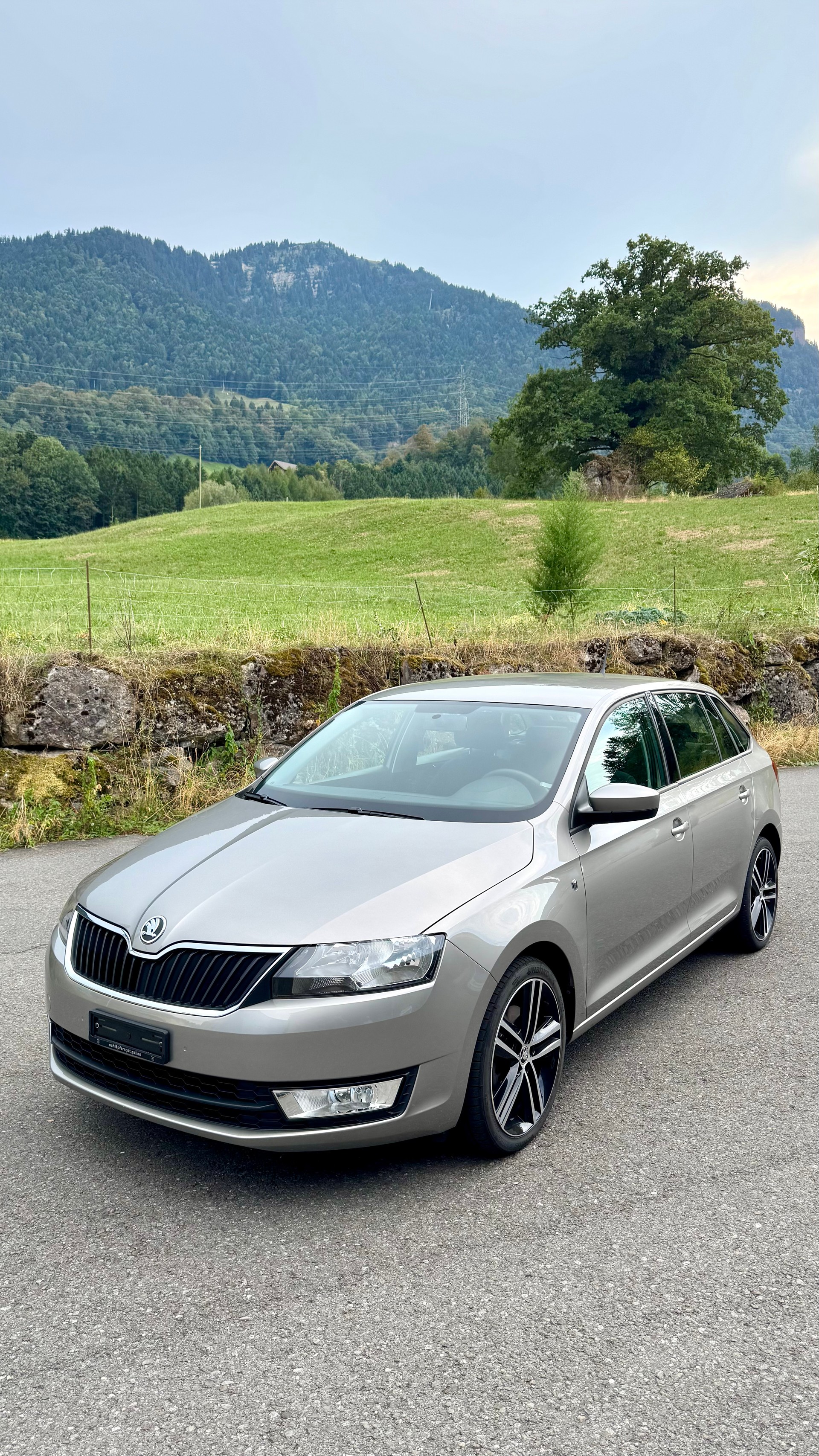 SKODA 1.4 TSI Ambition DSG