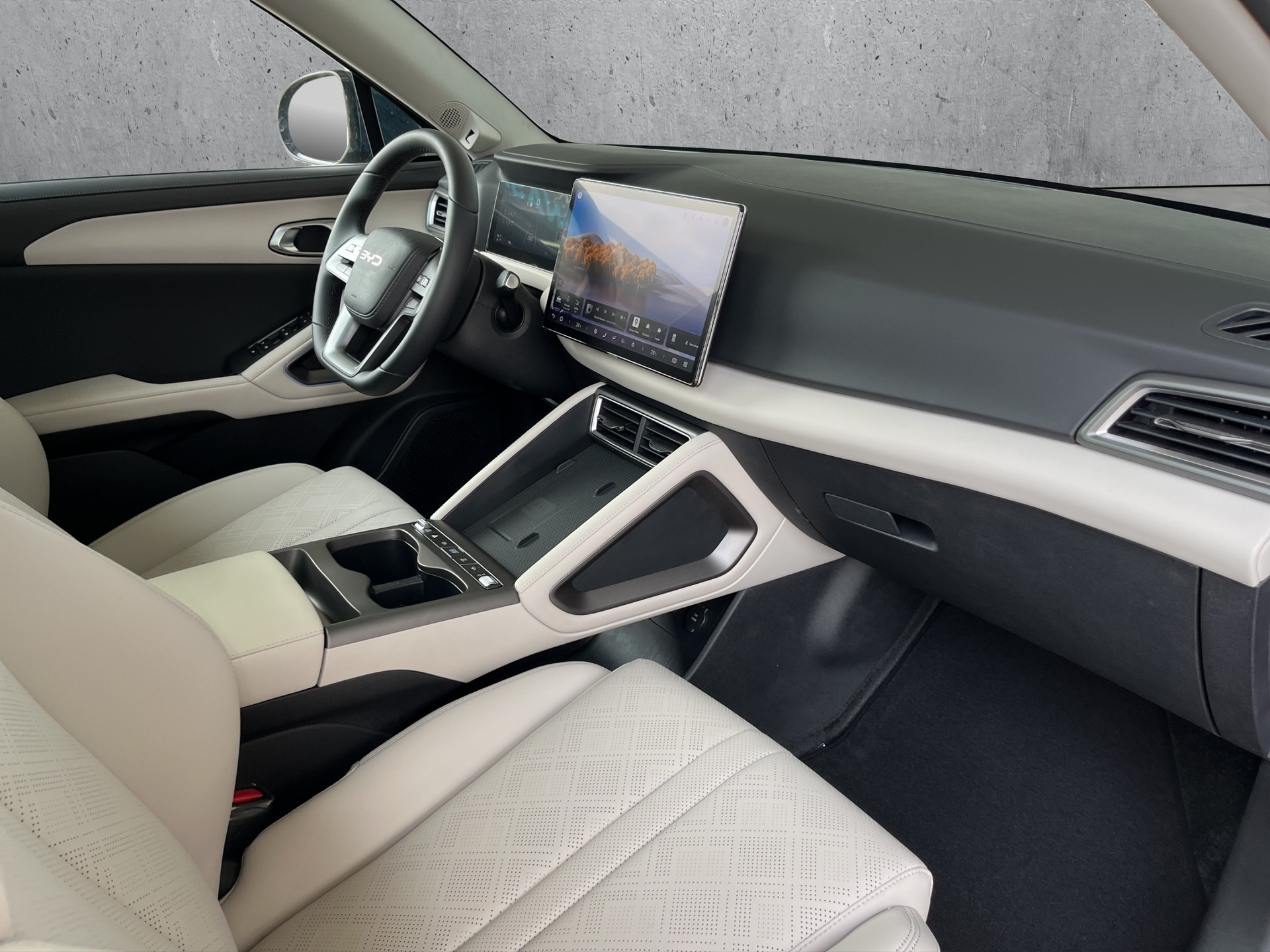 BYD Atto 2 DM-i Boost-image-11