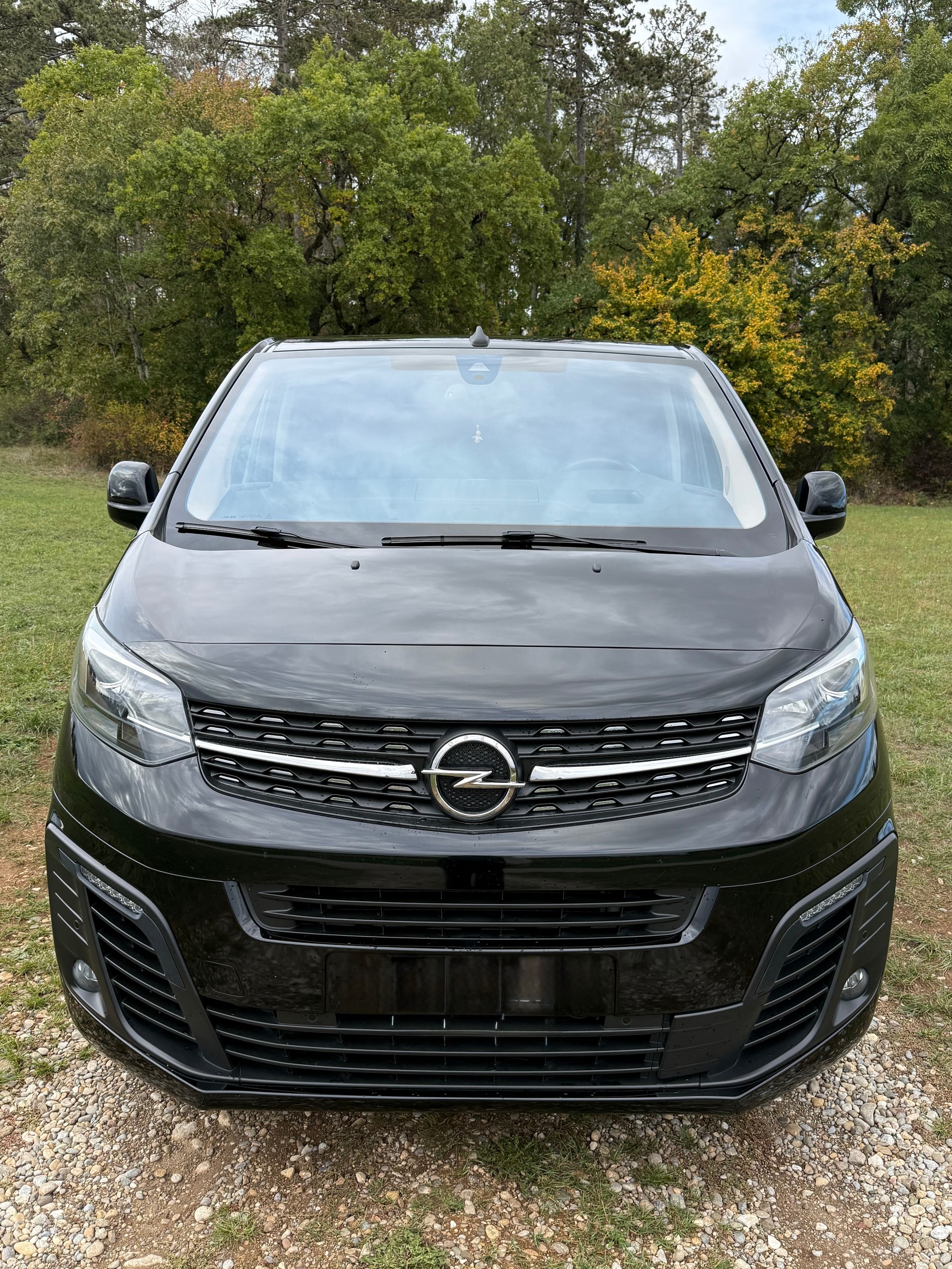 OPEL ZAFIRA-image-0