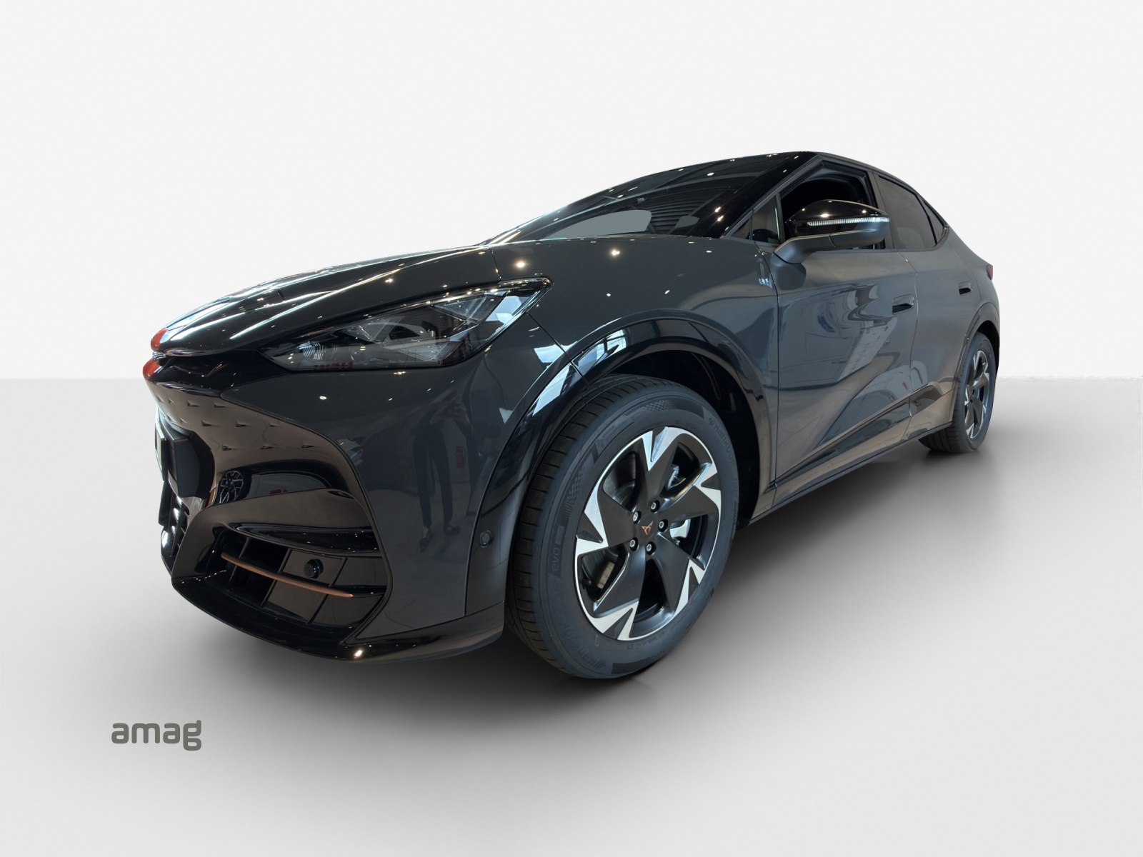 CUPRA Tavascan Type 4 77 kWh Endurance Edge-image-0