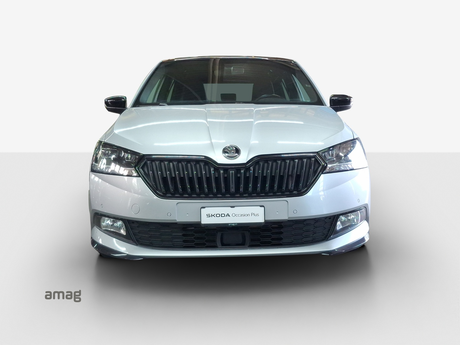 SKODA Fabia 1.0 TSI Monte Carlo DSG-image-6