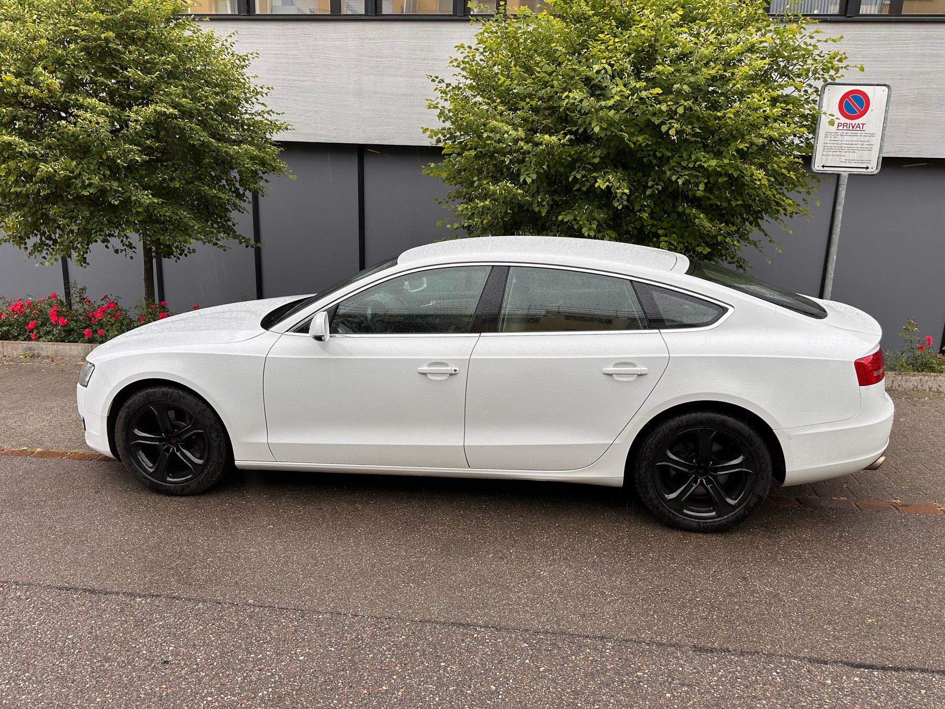 AUDI A5 Sportback 2.0 TFSI quattro-image-6