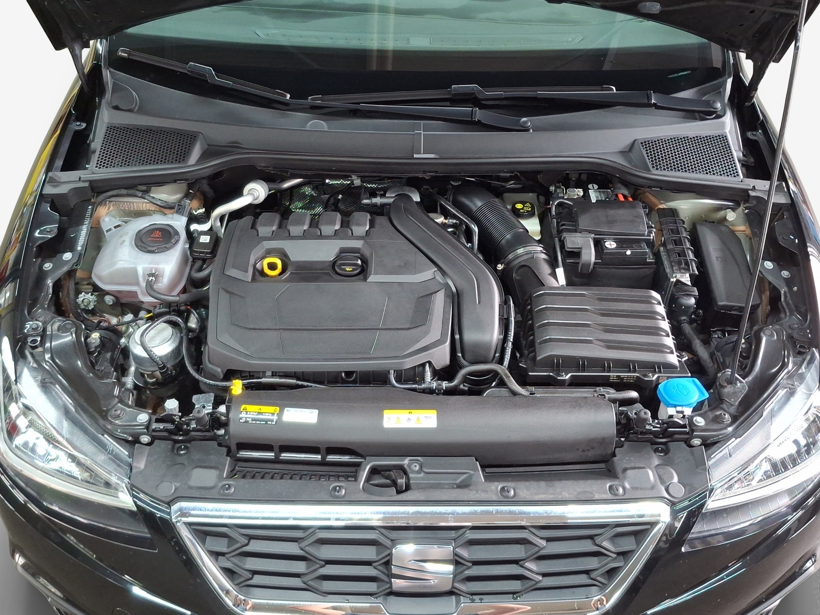 SEAT Ibiza 1.5 EcoTSI FR DSG-image-15
