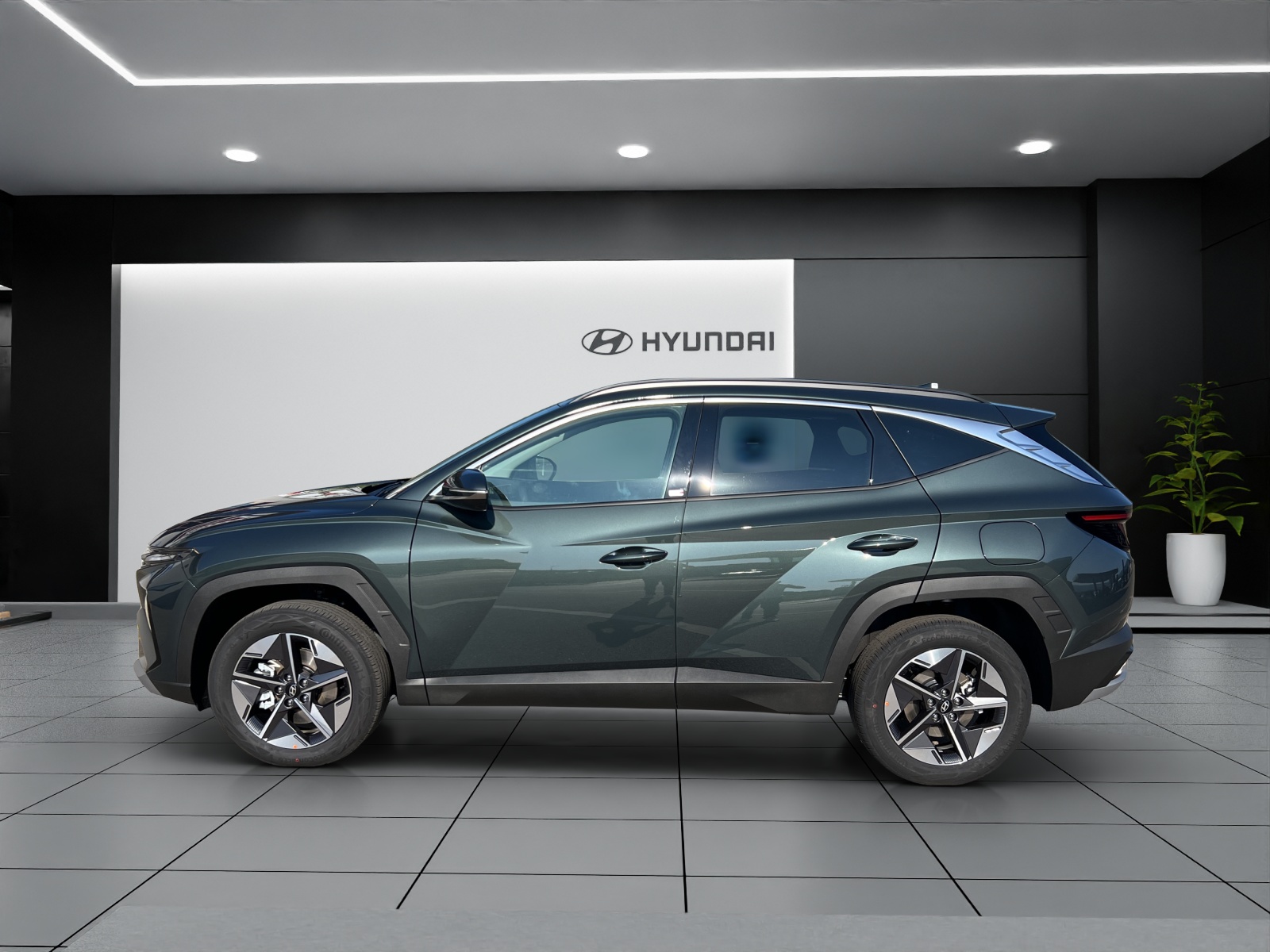Image HYUNDAI TUCSON Tucson 1.6 TGDI HEV Amplia 2WD