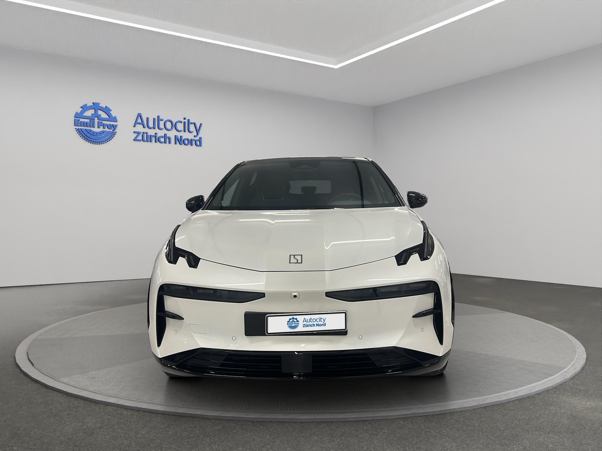 ZEEKR X Privilege AWD-image-1