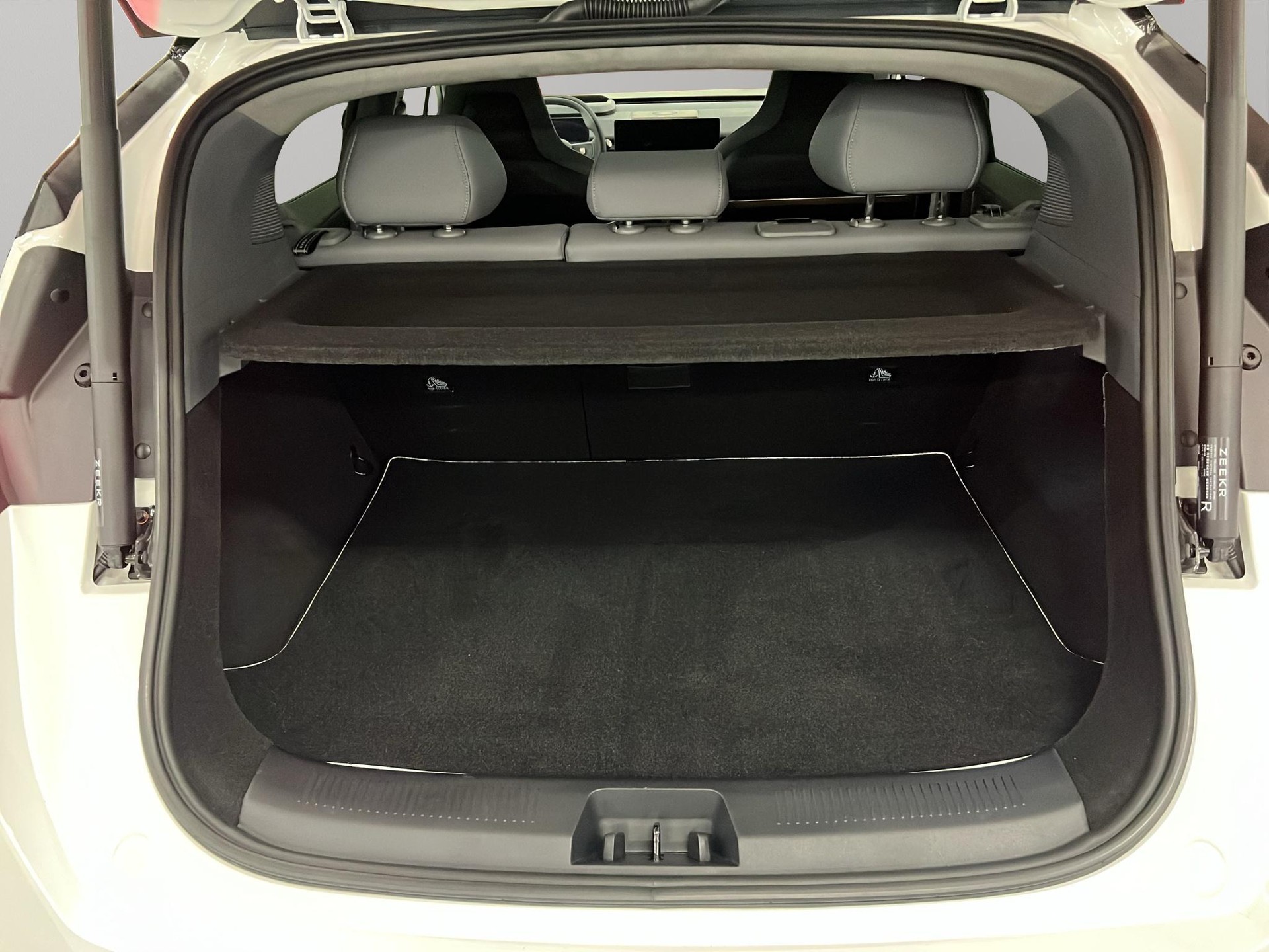 ZEEKR X Privilege AWD-image-4