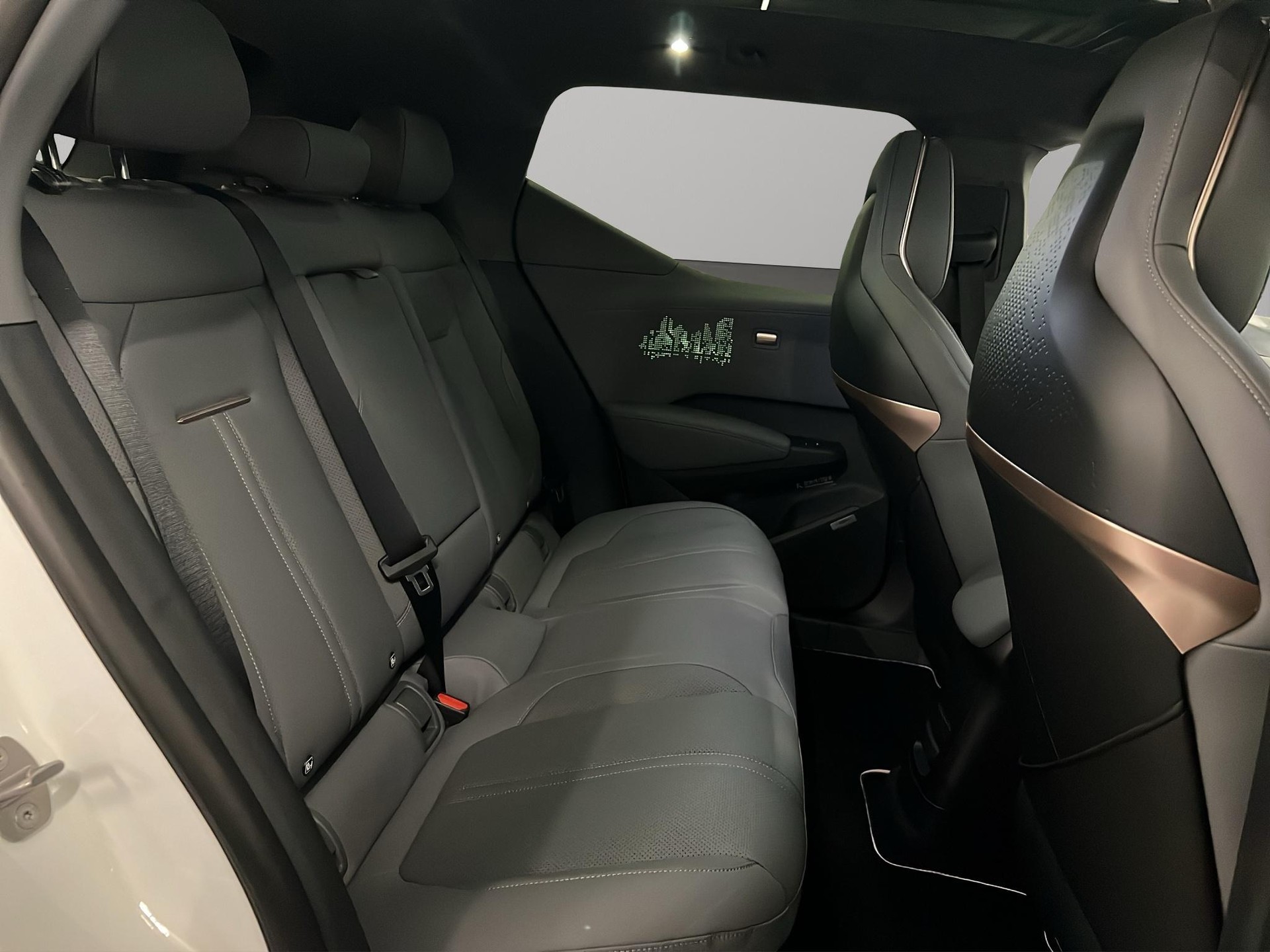 ZEEKR X Privilege AWD-image-11
