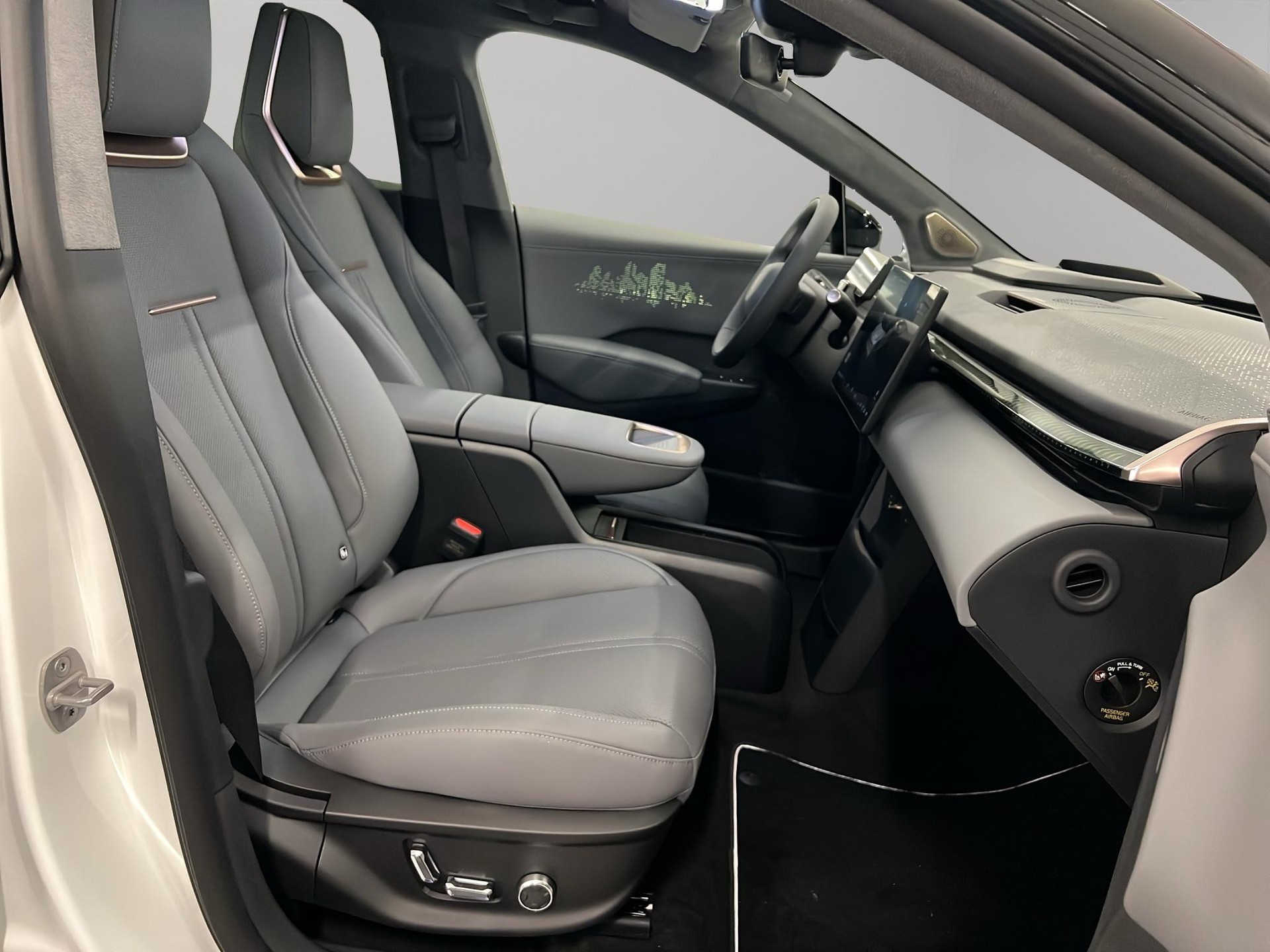ZEEKR X Privilege AWD-image-6