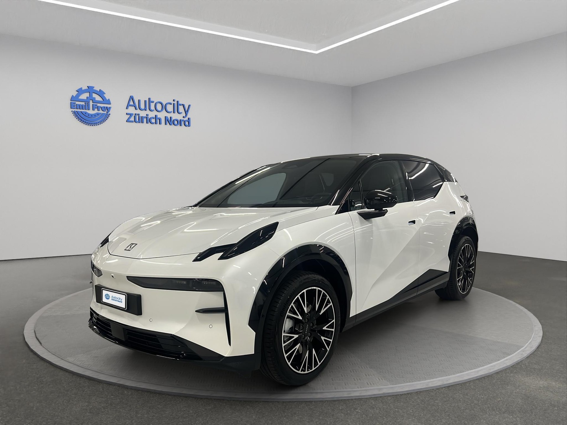 ZEEKR X Privilege AWD-image-0