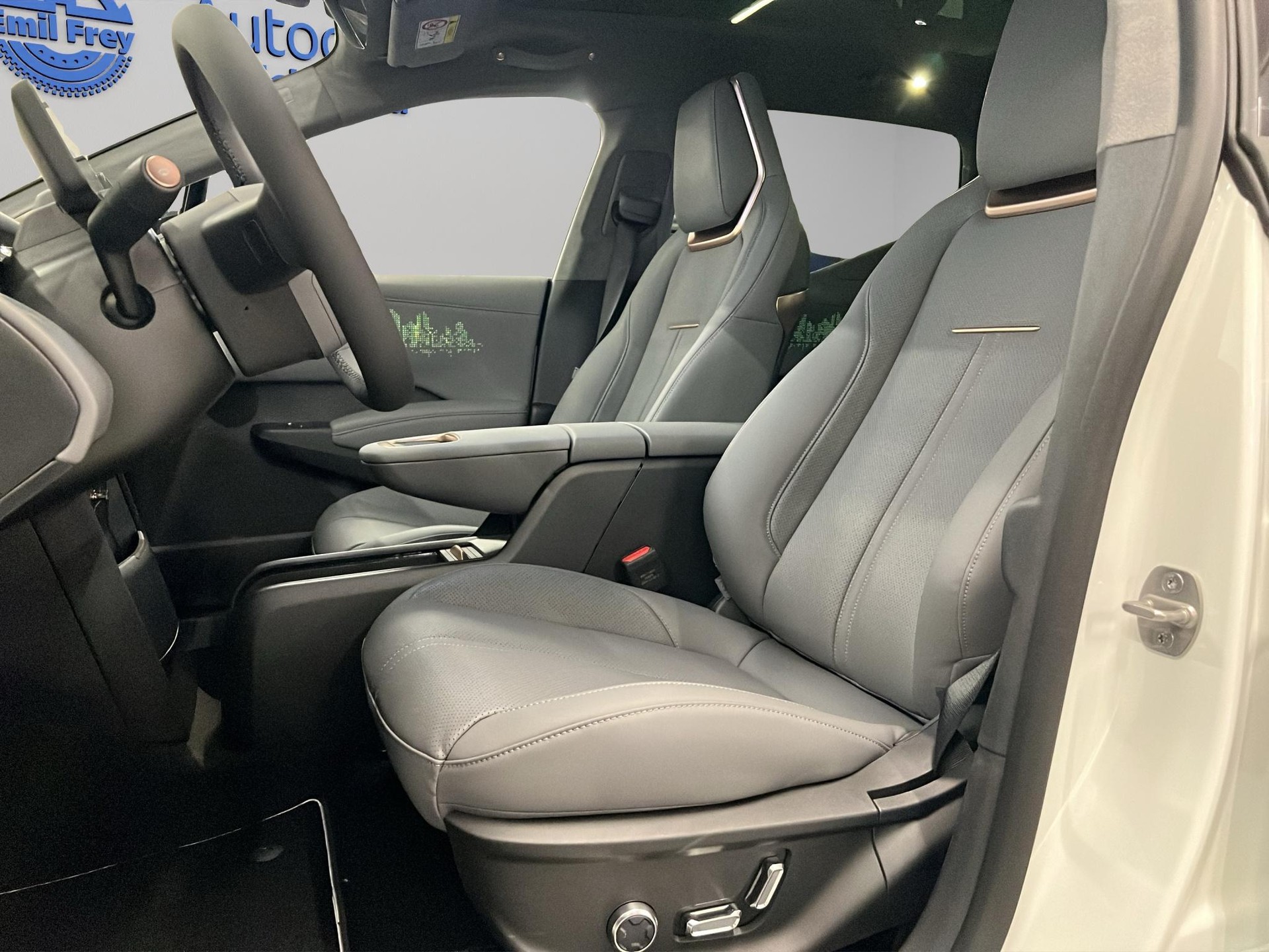 ZEEKR X Privilege AWD-image-7