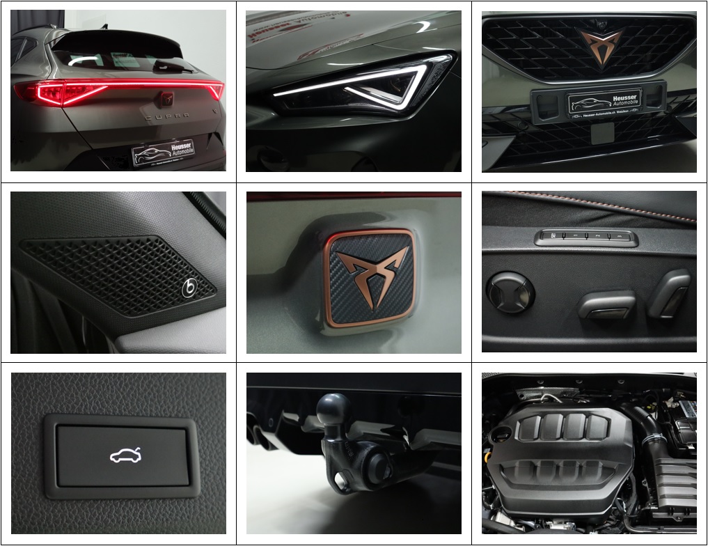 CUPRA Formentor VZ 2.0TSI 4Drive DSG - TRIBE EDITION - Panorama - Navi - Beats - Sportsitze - Sitzmemory - 360° Kamera - AHK - 310 PS-image-16