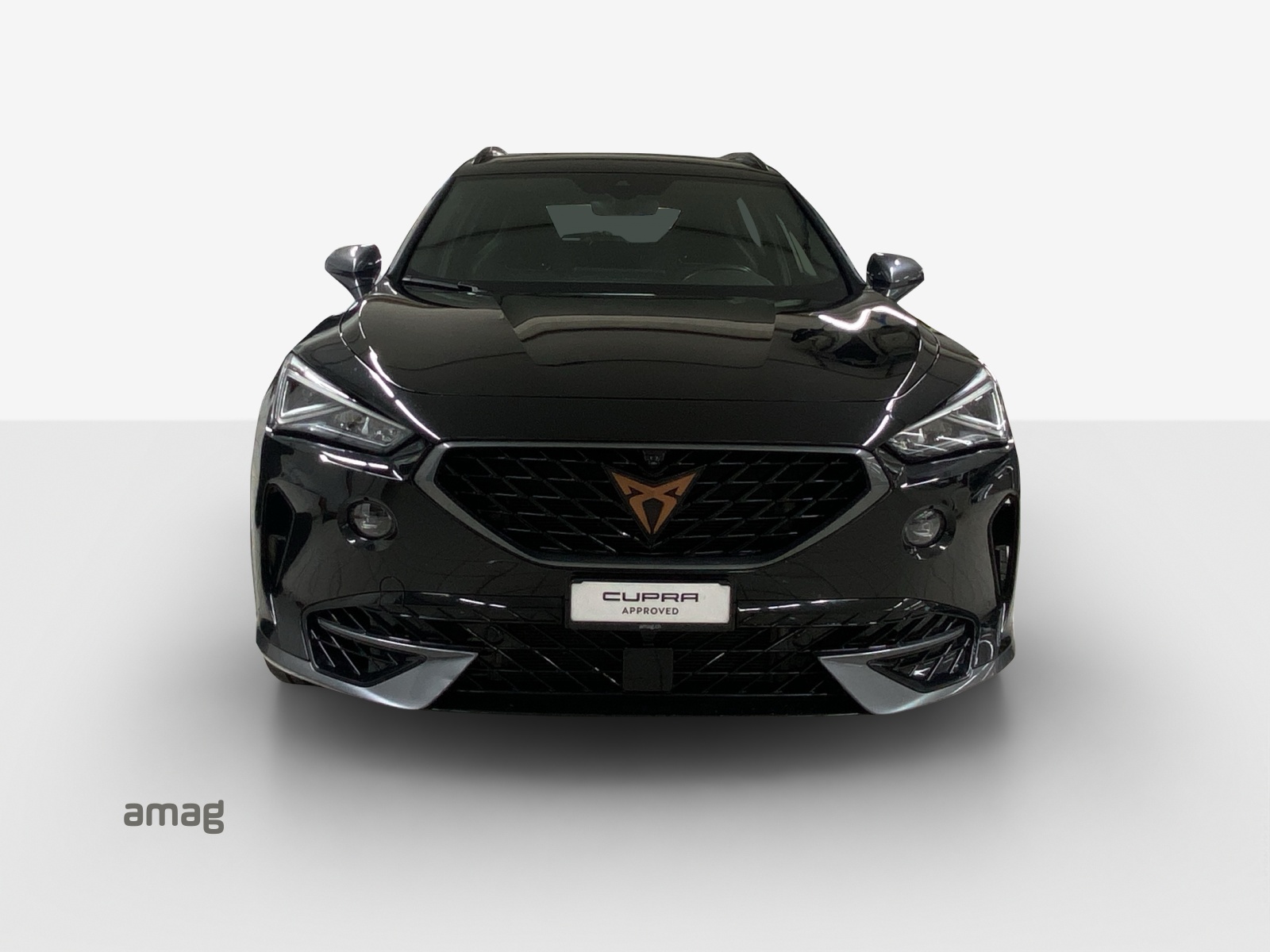 CUPRA Formentor 2.0TSI VZ 4Drive DSG-image-6