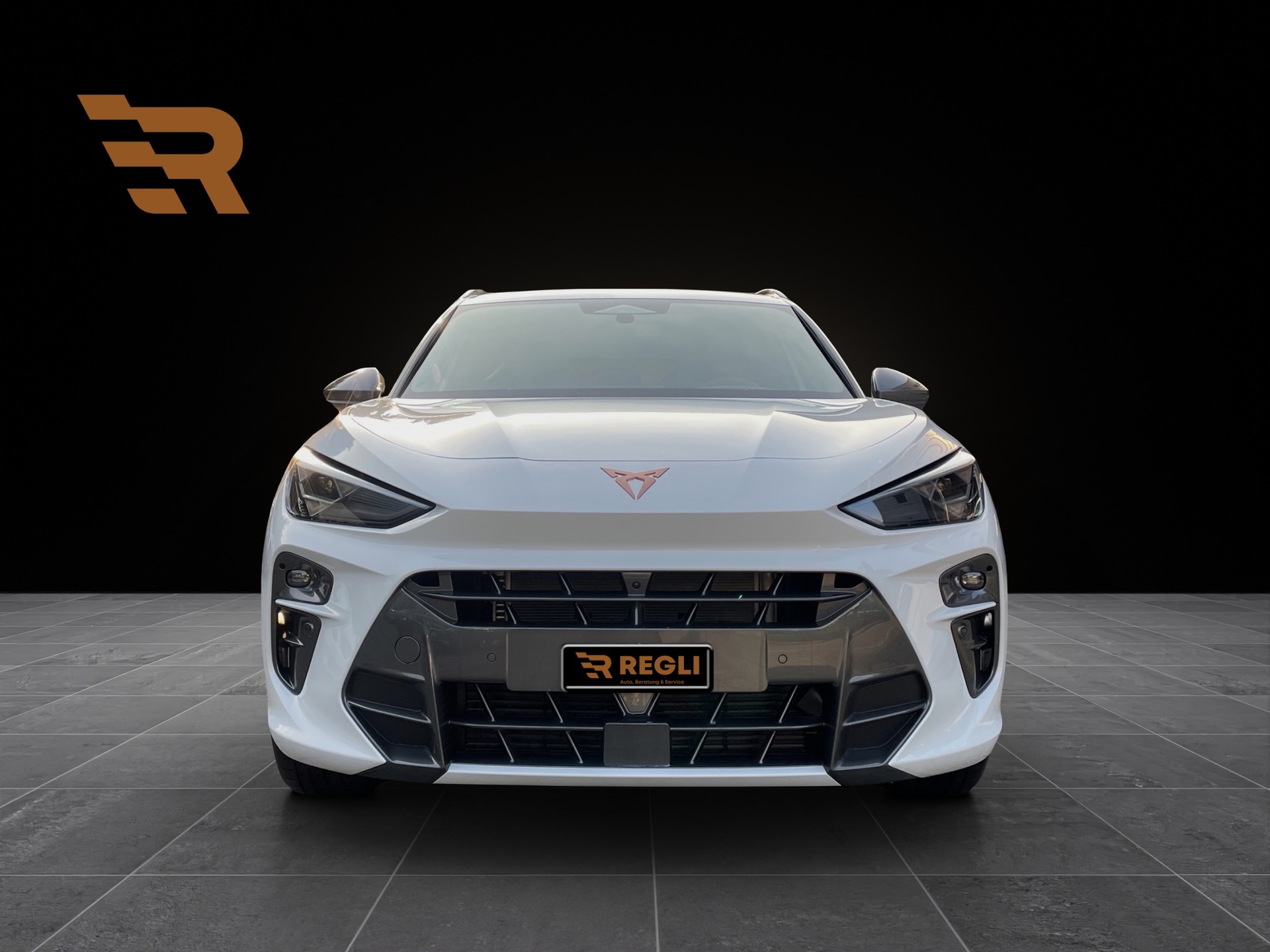 CUPRA Terramar 2.0 TSI Prime Edition DSG 4Drive-image-7