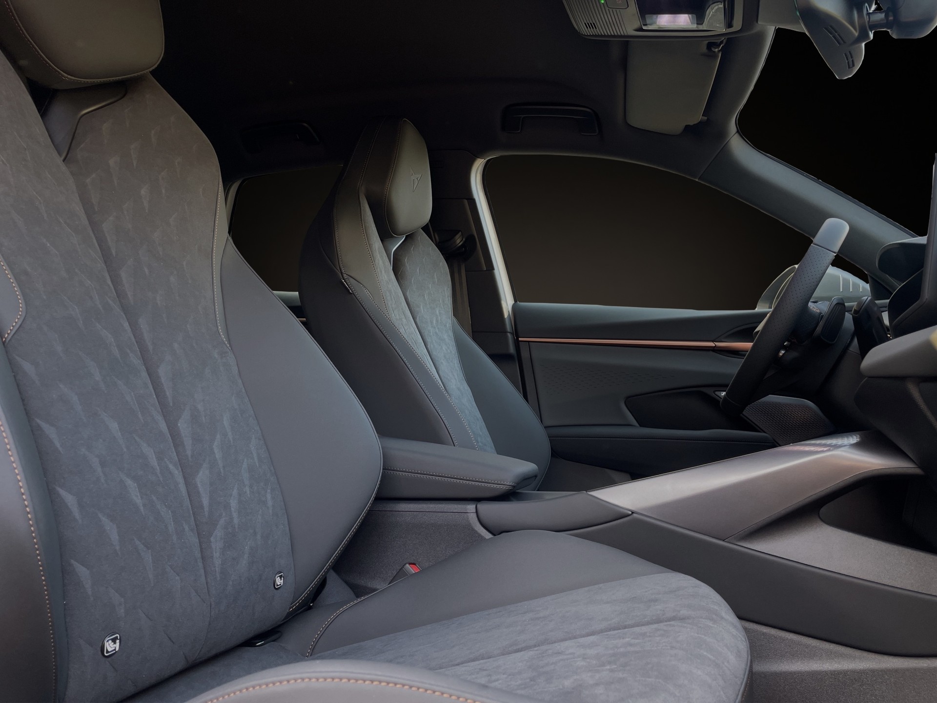 CUPRA Terramar 2.0 TSI Prime Edition DSG 4Drive-image-16