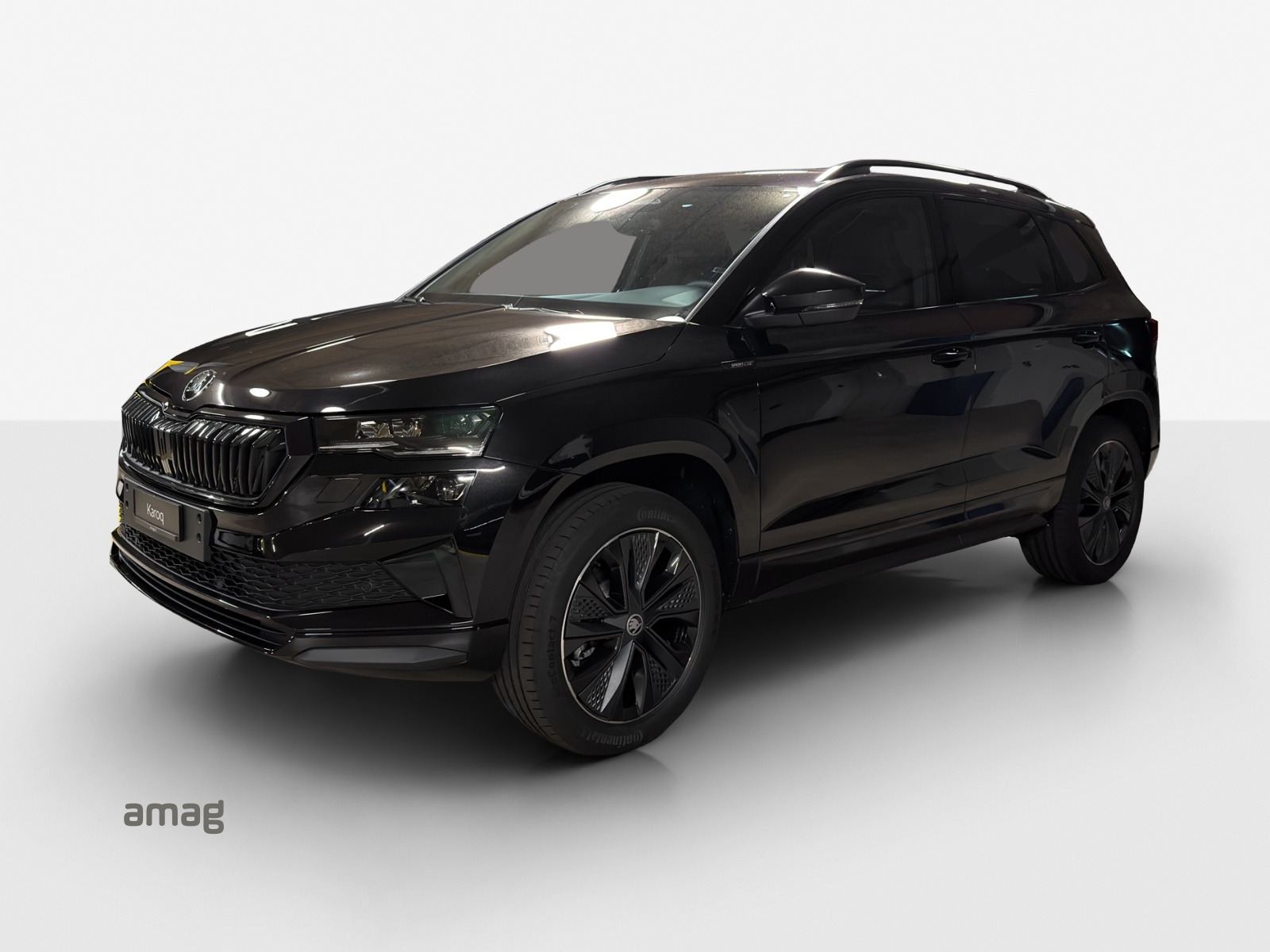 SKODA Karoq SL 2.0TSI-image-0