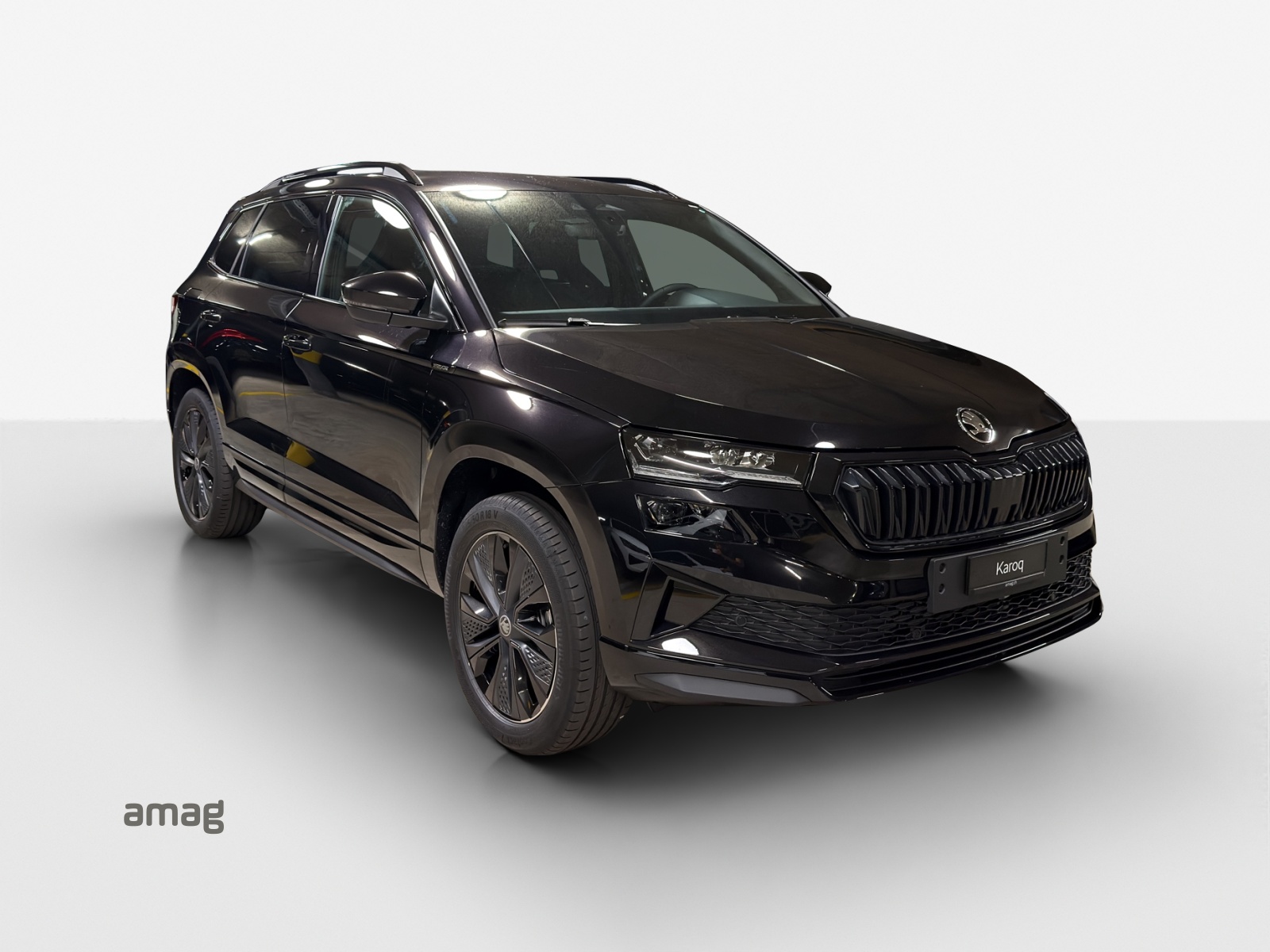 SKODA Karoq SL 2.0TSI-image-5