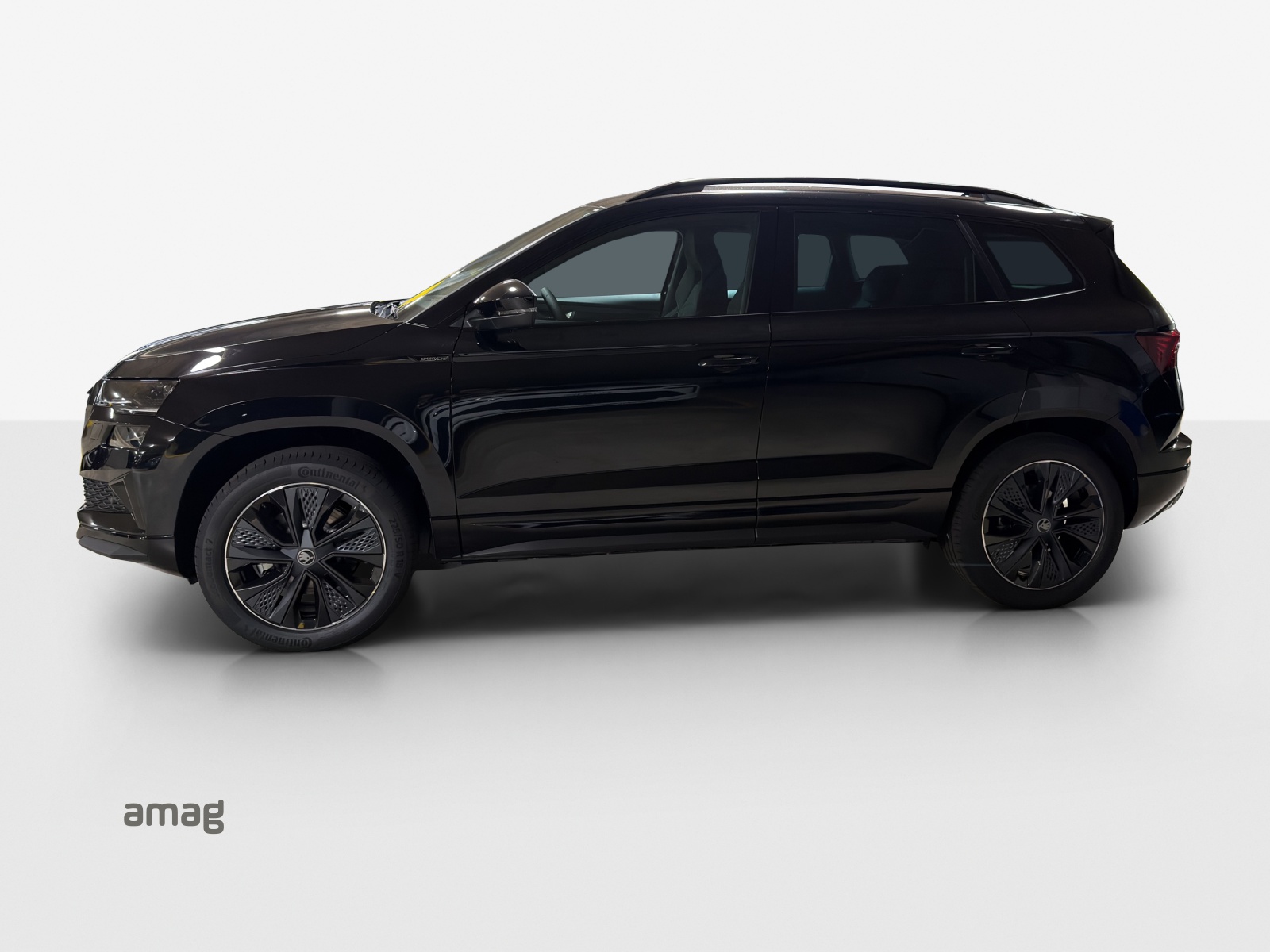 SKODA Karoq SL 2.0TSI-image-1