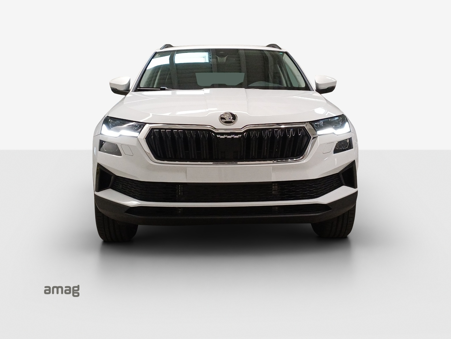 SKODA Karoq 2.0 TDI CR Dynamic 4x4 DSG-image-6