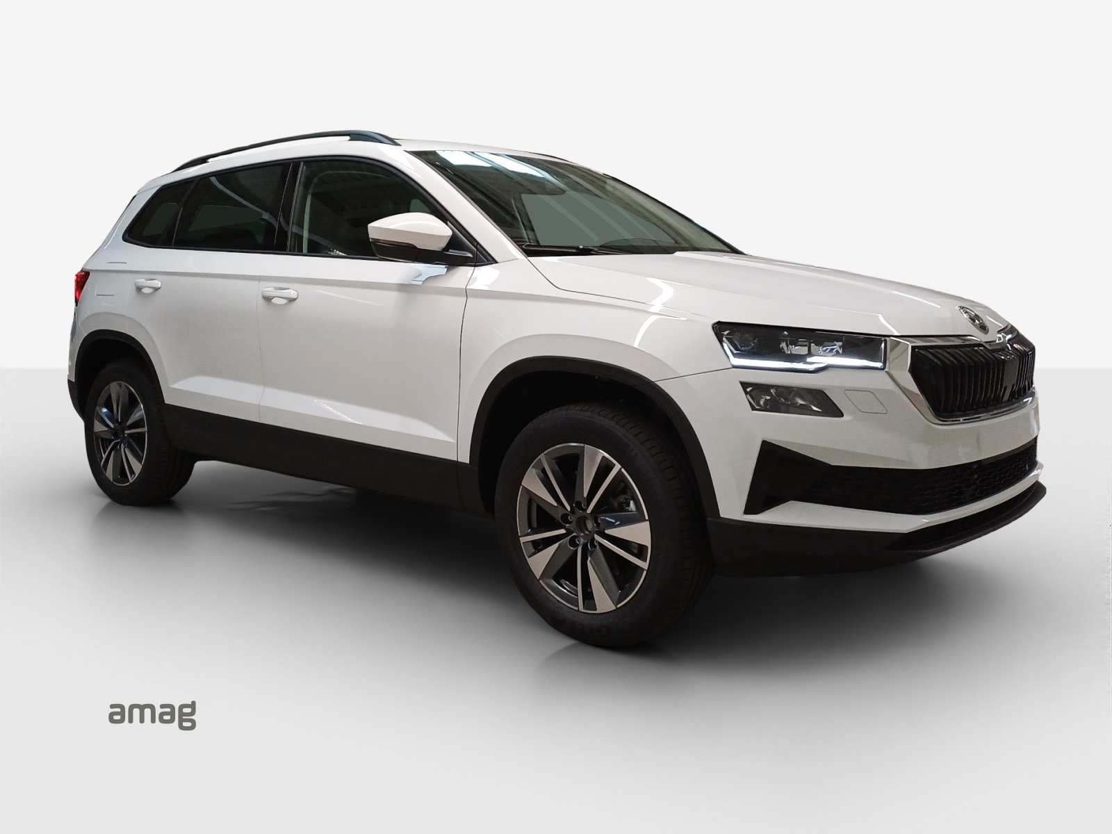 SKODA Karoq 2.0 TDI CR Dynamic 4x4 DSG-image-5