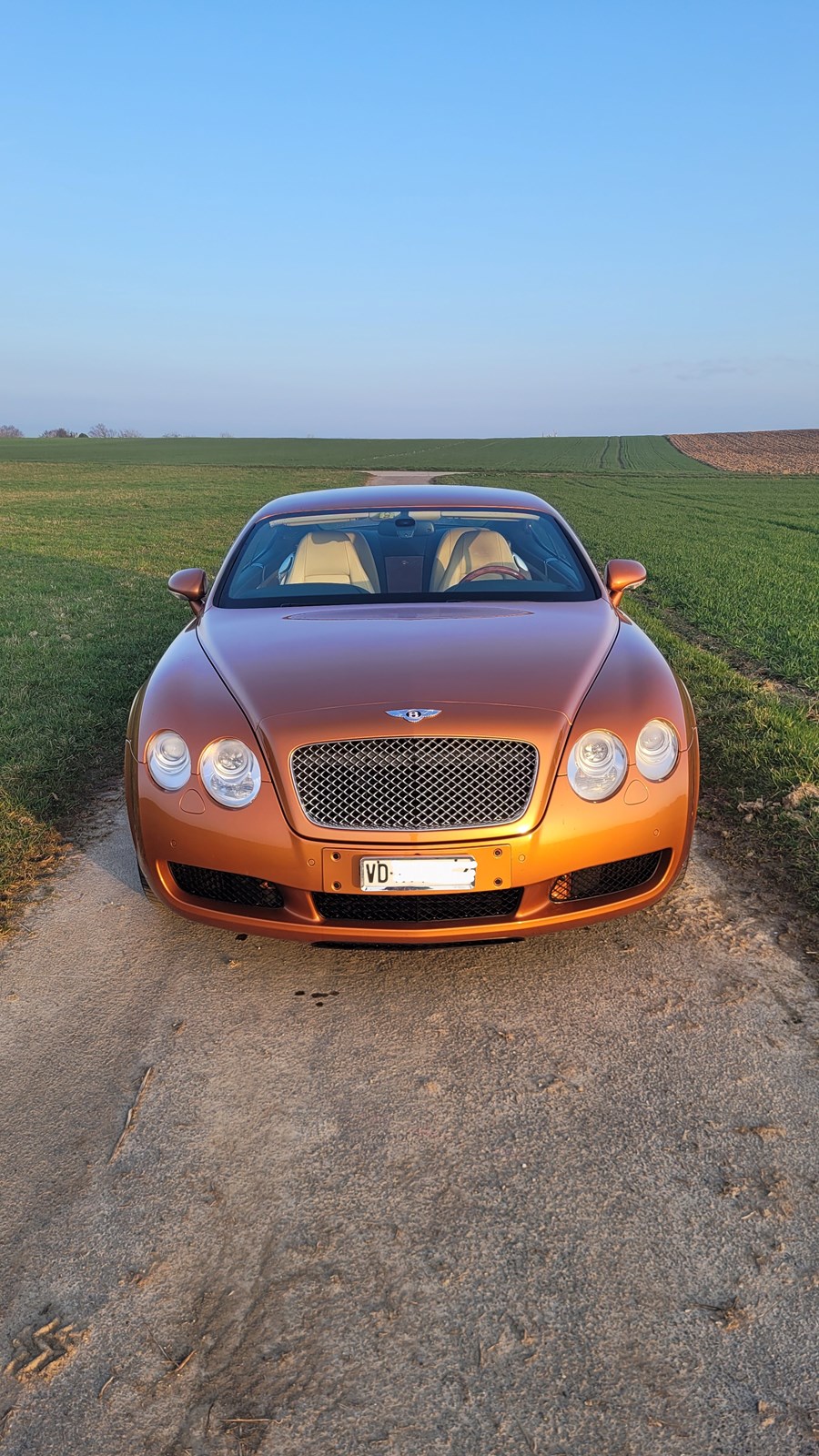 BENTLEY Continental GT 6.0-image-1