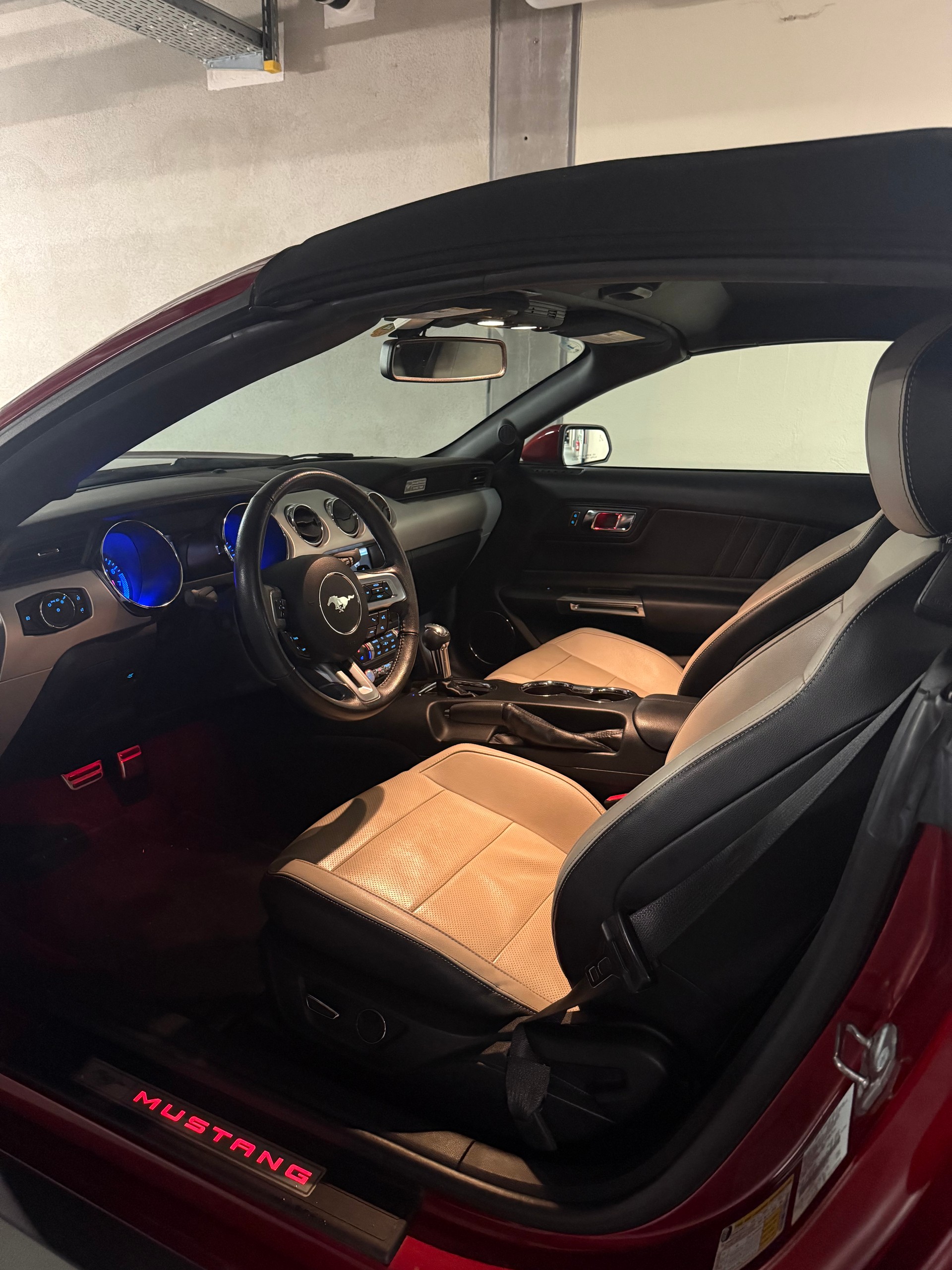 FORD Mustang Convertible 2.3 Automat-image-10