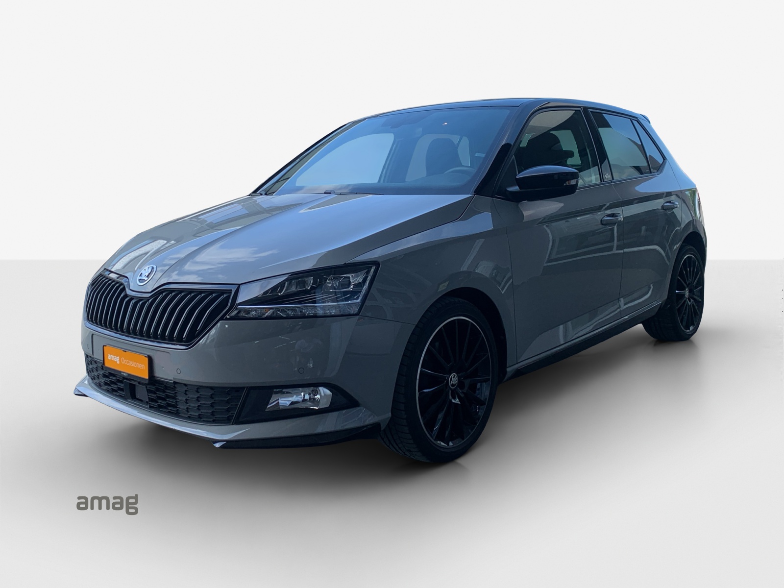 SKODA Fabia 1.0 TSI Monte Carlo DSG-image-0