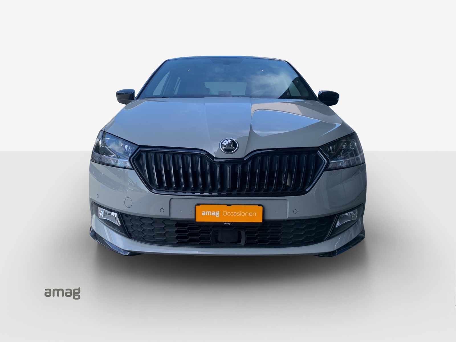 SKODA Fabia 1.0 TSI Monte Carlo DSG-image-6