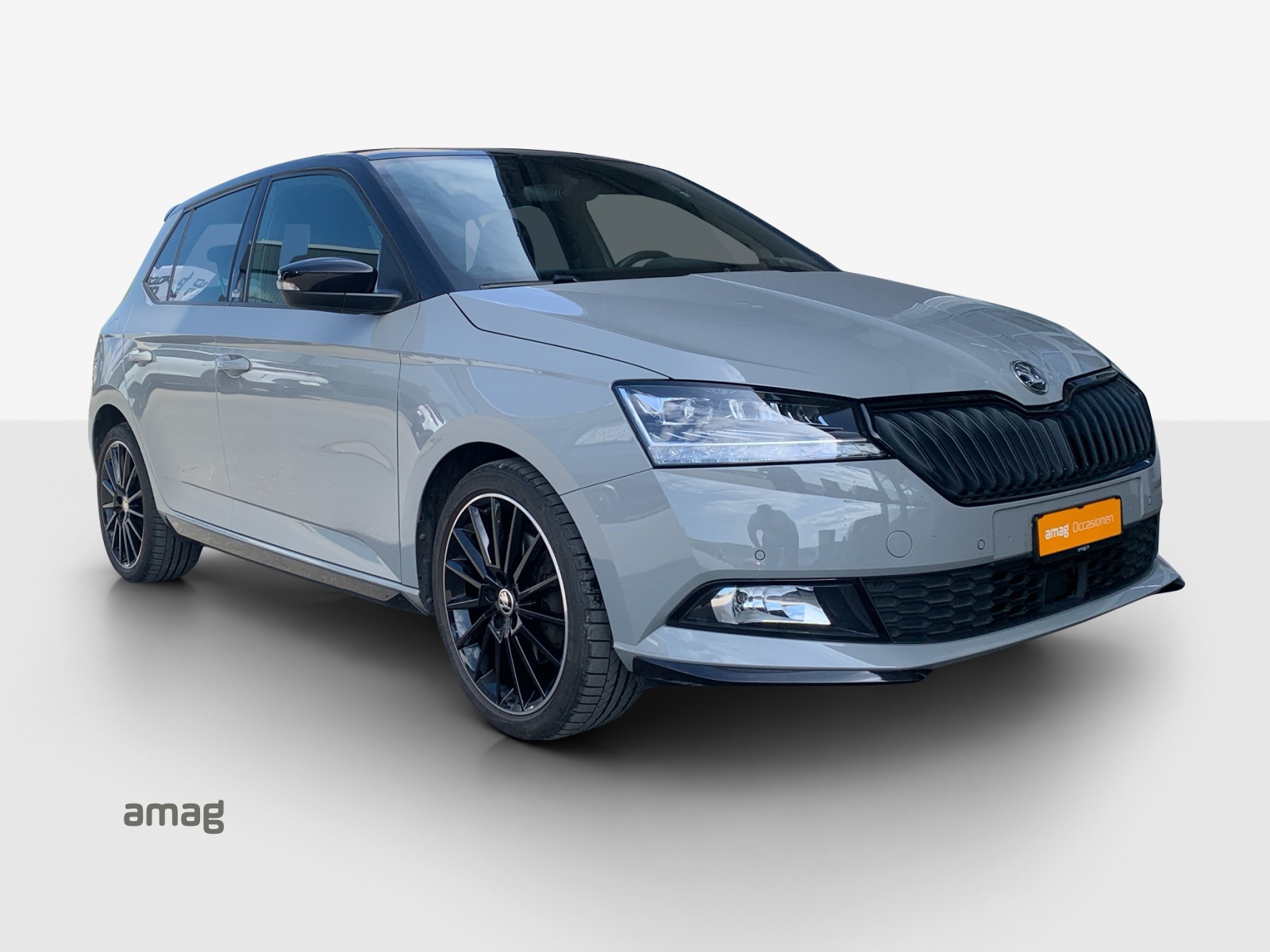 SKODA Fabia 1.0 TSI Monte Carlo DSG-image-5