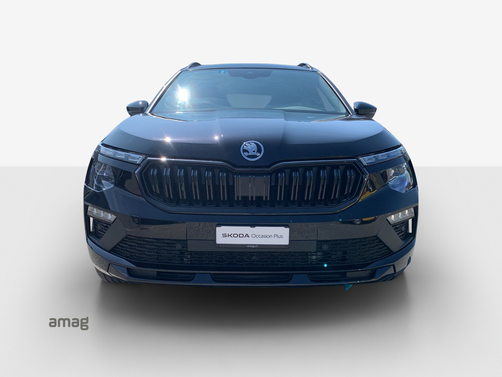SKODA Kamiq 1.5 TSI Monte Carlo-image-6