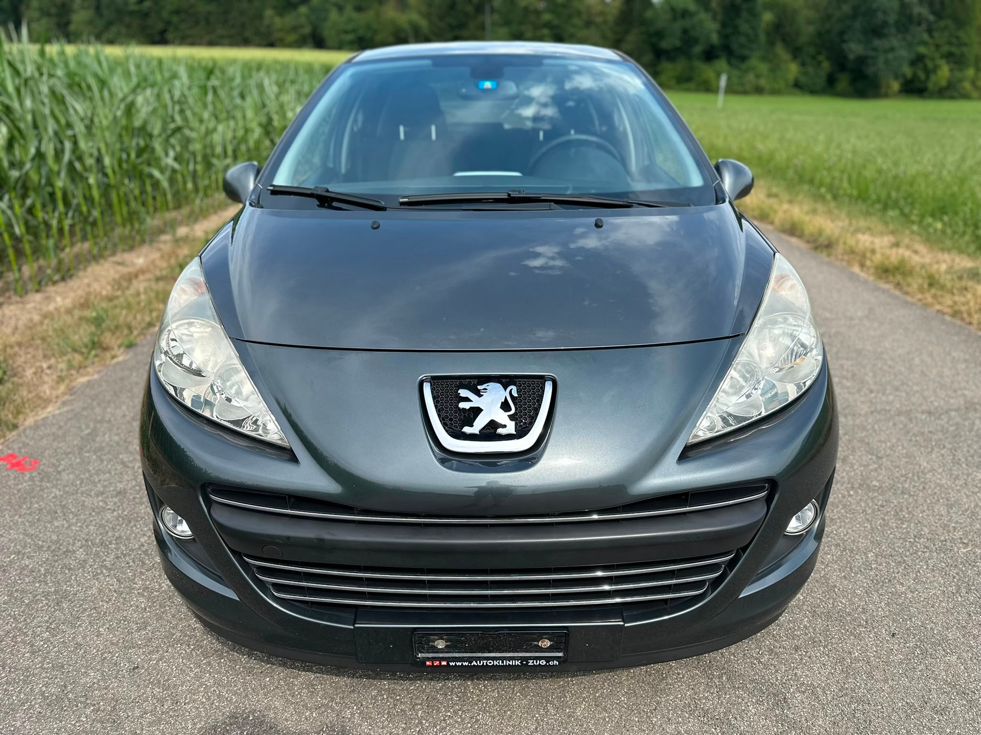 PEUGEOT 207 1.6 16V Lion Edition-showroom-element-2