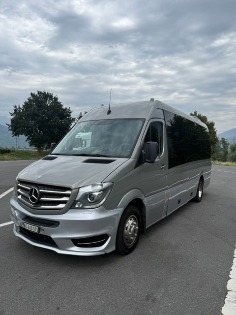 MERCEDES-BENZ 519 BT bus 17 places-image-1